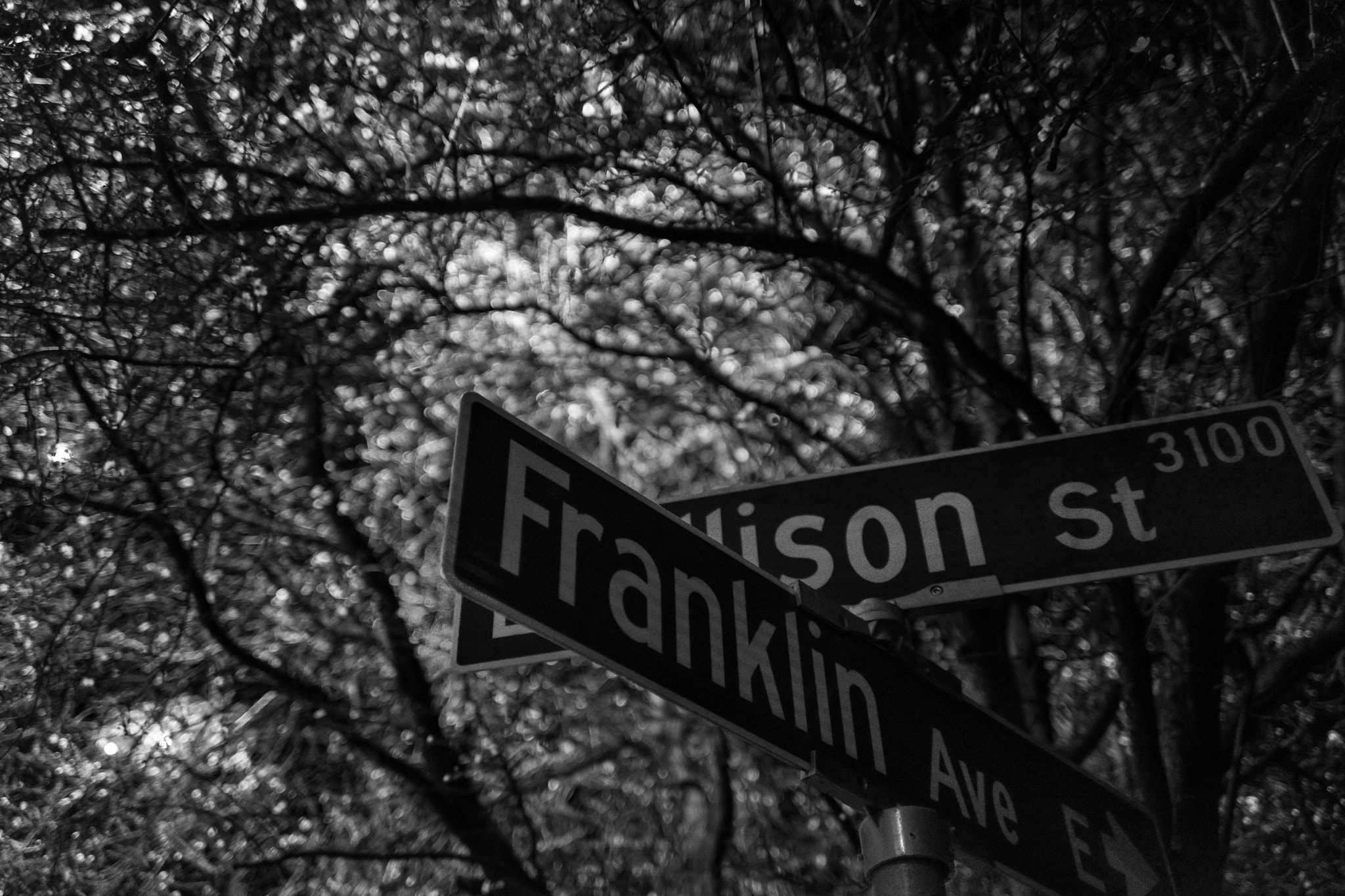 E 35mm F2 sample photo. Juxtaposition photography