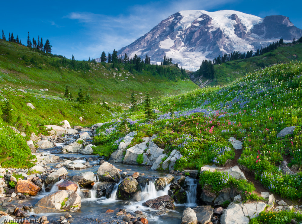 Canon TS-E 24mm f/3.5L sample photo. Mt rainier morning photography