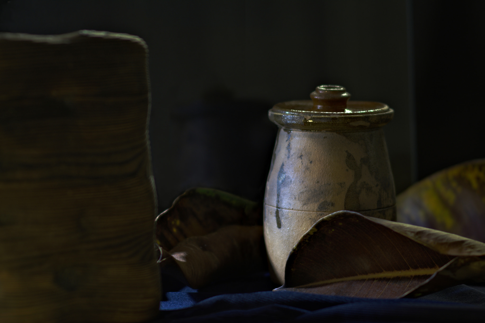Samyang 85mm F1.4 Aspherical IF sample photo. Wood pot and leaves photography