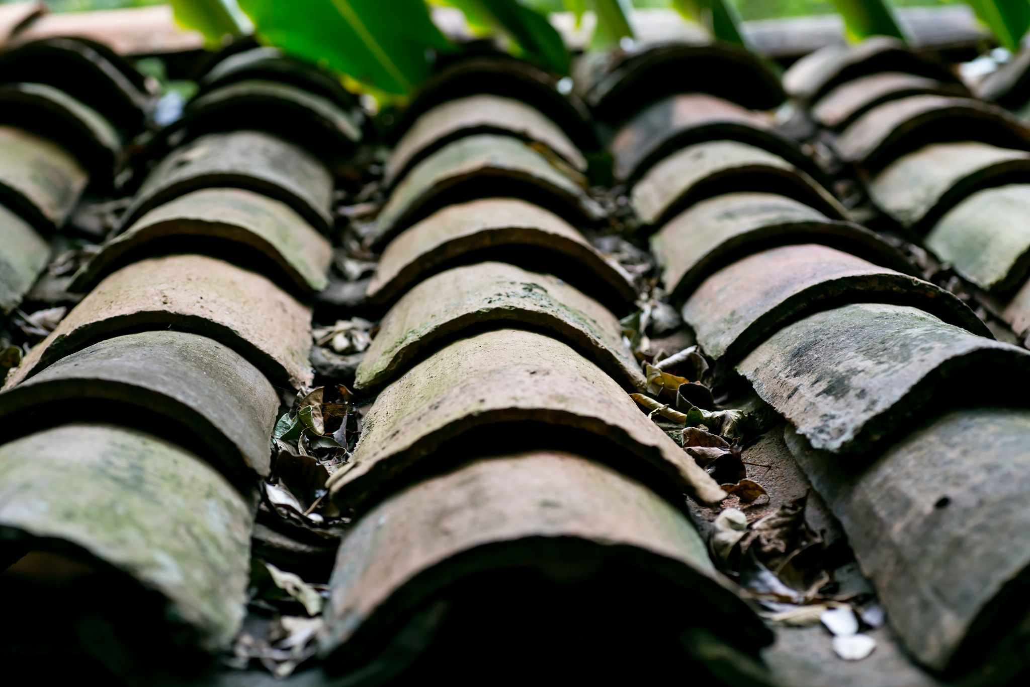 Canon EOS 6D + Tamron SP AF 90mm F2.8 Di Macro sample photo. Old roof tiles photography