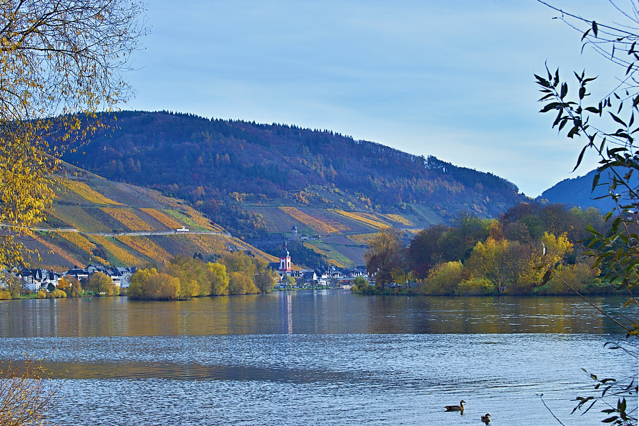 Nikon D3200 + 18.00 - 55.00 mm f/3.5 - 5.6 sample photo. Herbst 2015 photography