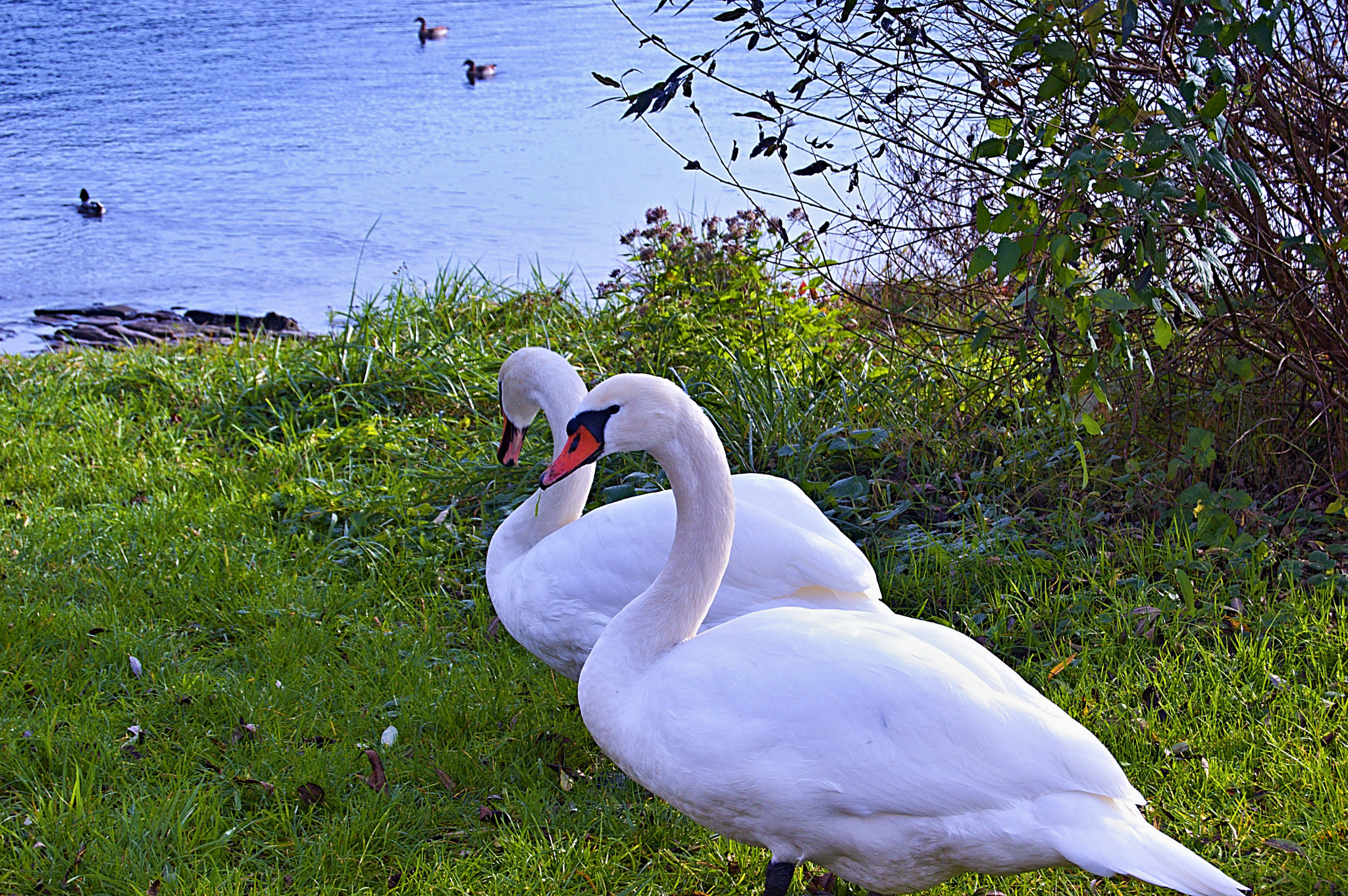 18.00 - 55.00 mm f/3.5 - 5.6 sample photo. Herbst 2015 photography