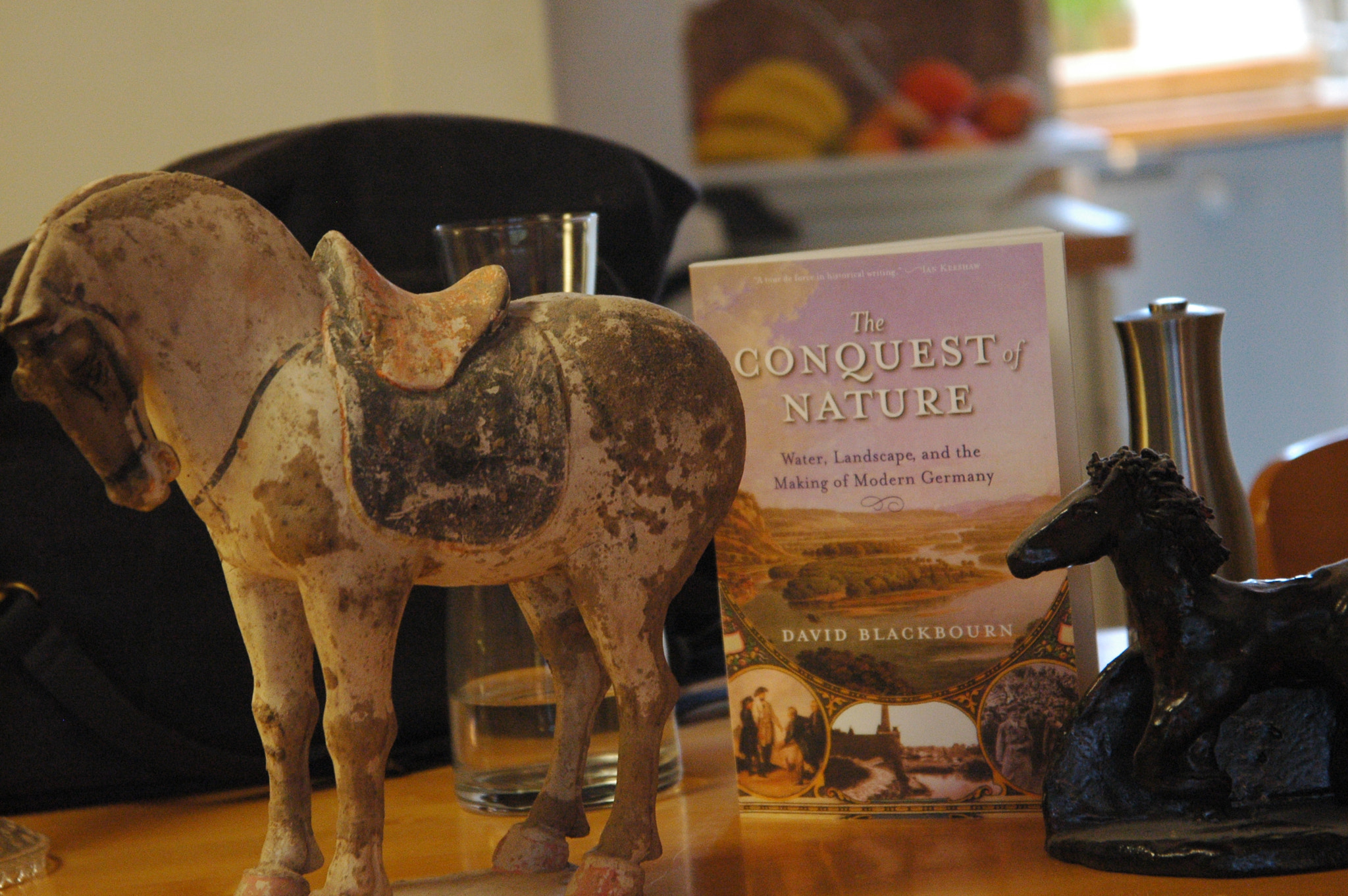 Nikon D70 sample photo. Conquest of nature horses photography