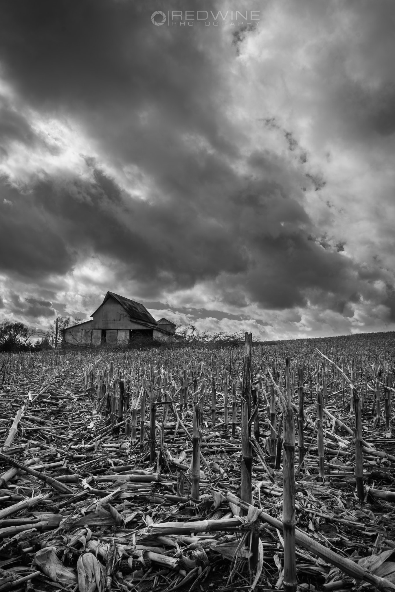 Canon EF-S 10-18mm F4.5–5.6 IS STM sample photo. The test of time photography