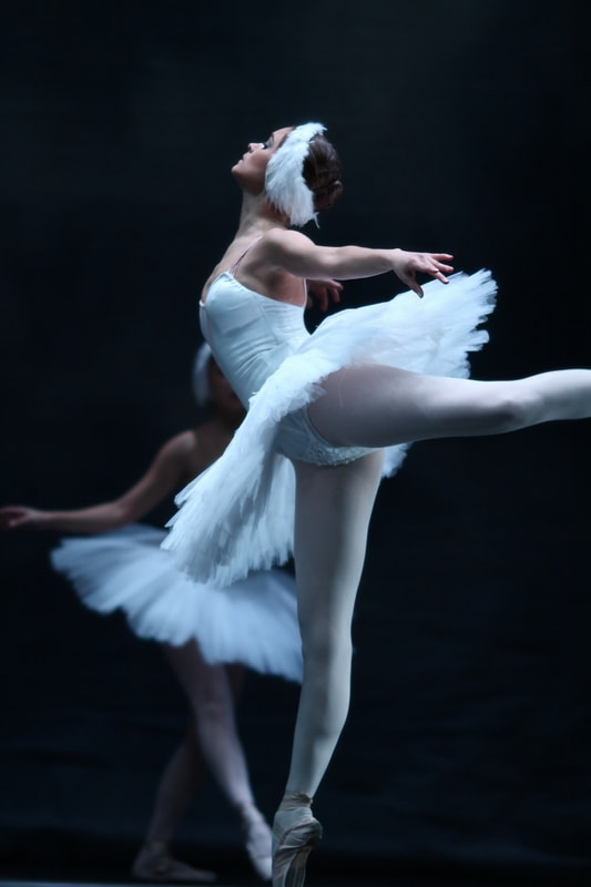 Canon EF 135mm F2L USM sample photo. Swan lake photography