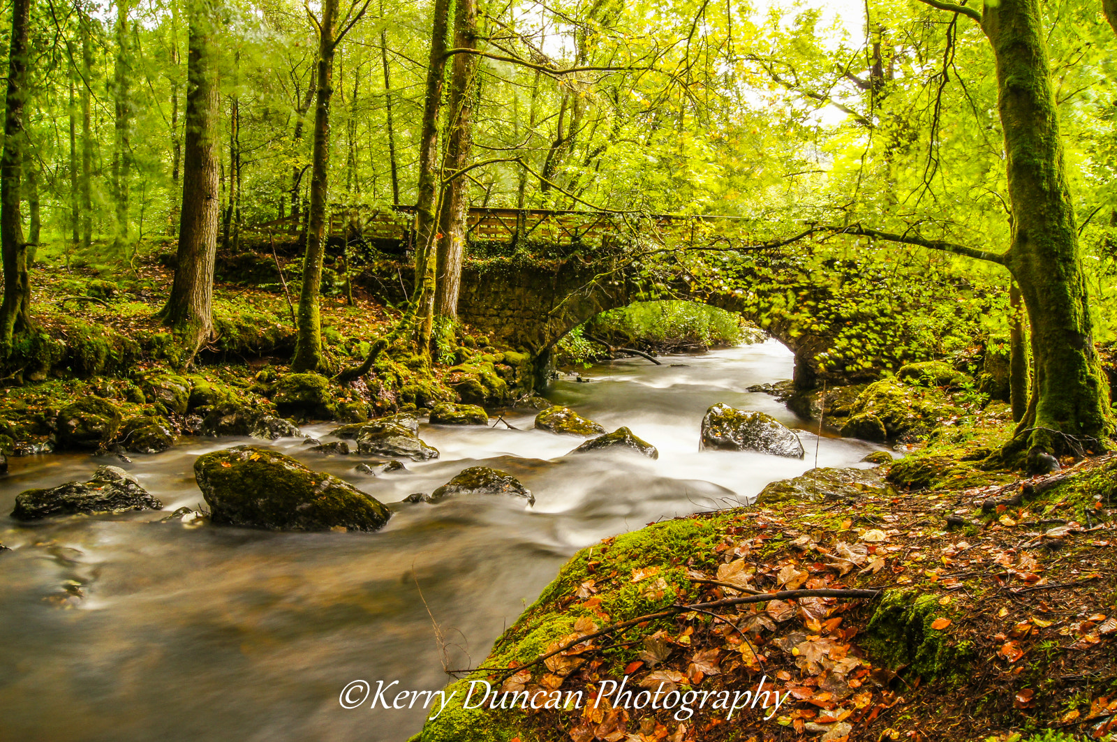 Sony Alpha DSLR-A580 sample photo. River croe photography