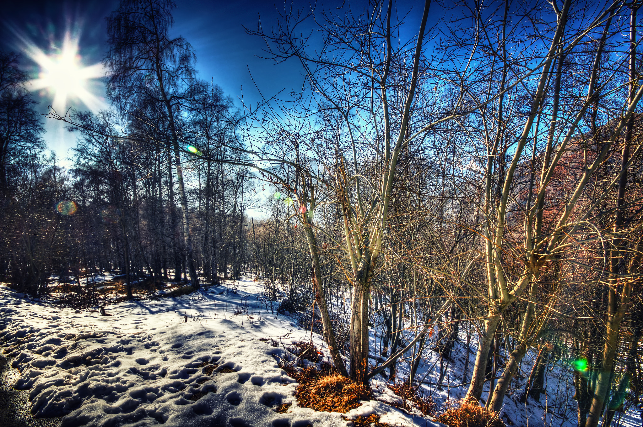 Canon EOS 1200D (EOS Rebel T5 / EOS Kiss X70 / EOS Hi) + Sigma 10-20mm F4-5.6 EX DC HSM sample photo. Winter scenery photography