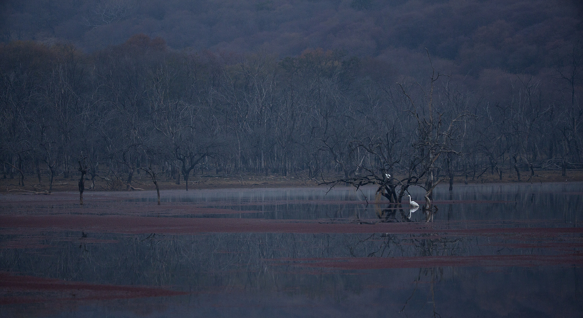 Canon EOS 5D Mark II + Canon EF 200-400mm F4L IS USM Extender 1.4x sample photo. Magical landscape photography