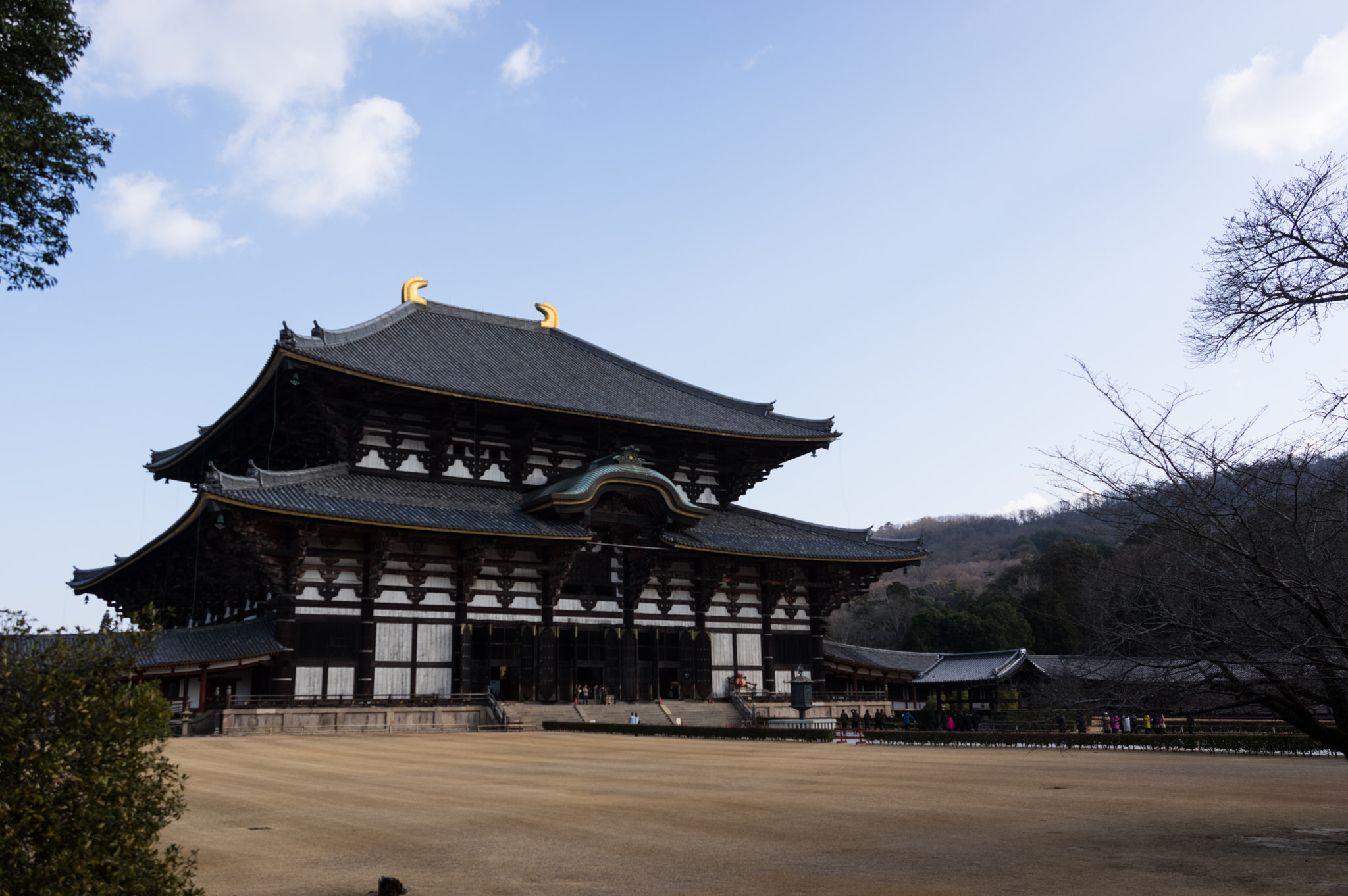Pentax K-3 II sample photo. Todaiji temple photography