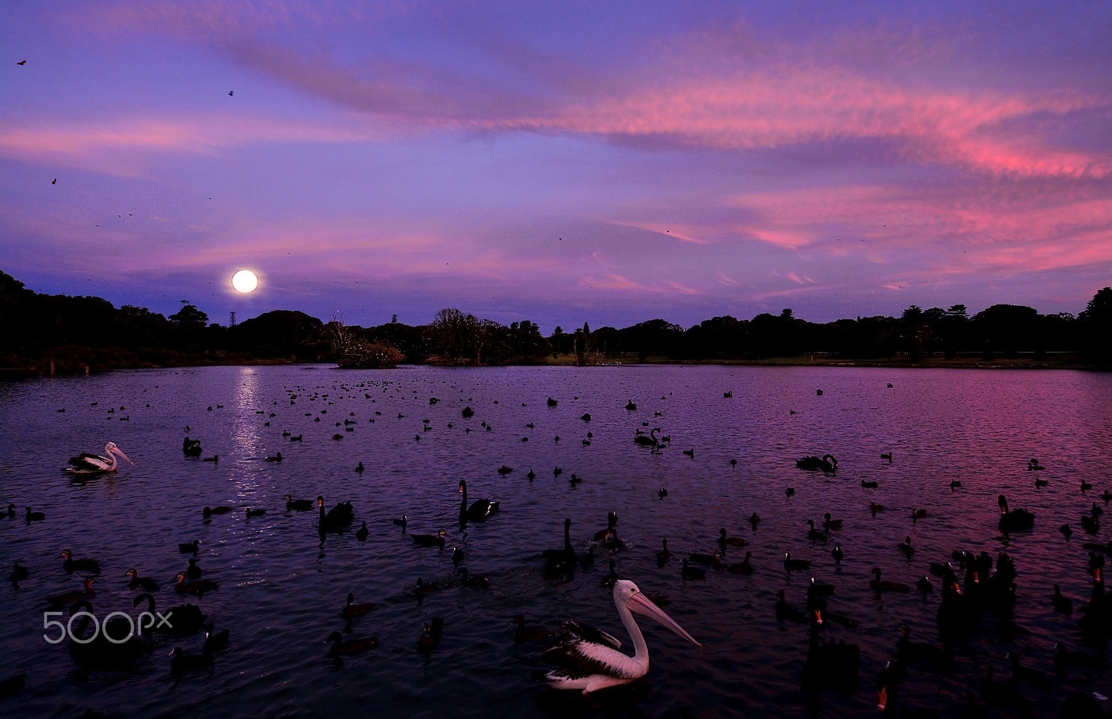 Nikon D7100 + AF Nikkor 35mm f/2 sample photo. ..full moon.. photography