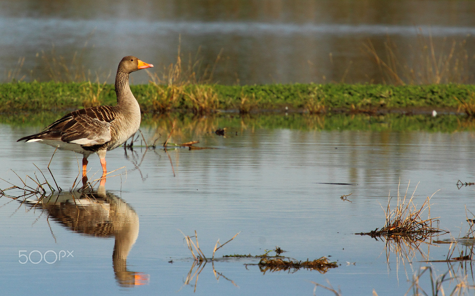 Canon EF 70-200mm F4L USM sample photo. .... photography