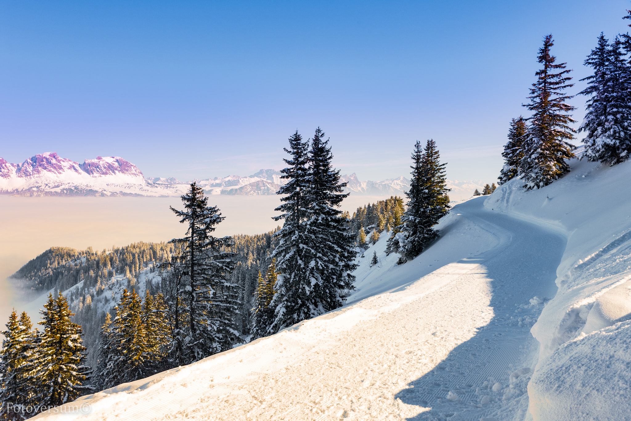Canon EOS-1Ds Mark III sample photo. Swiss alps photography