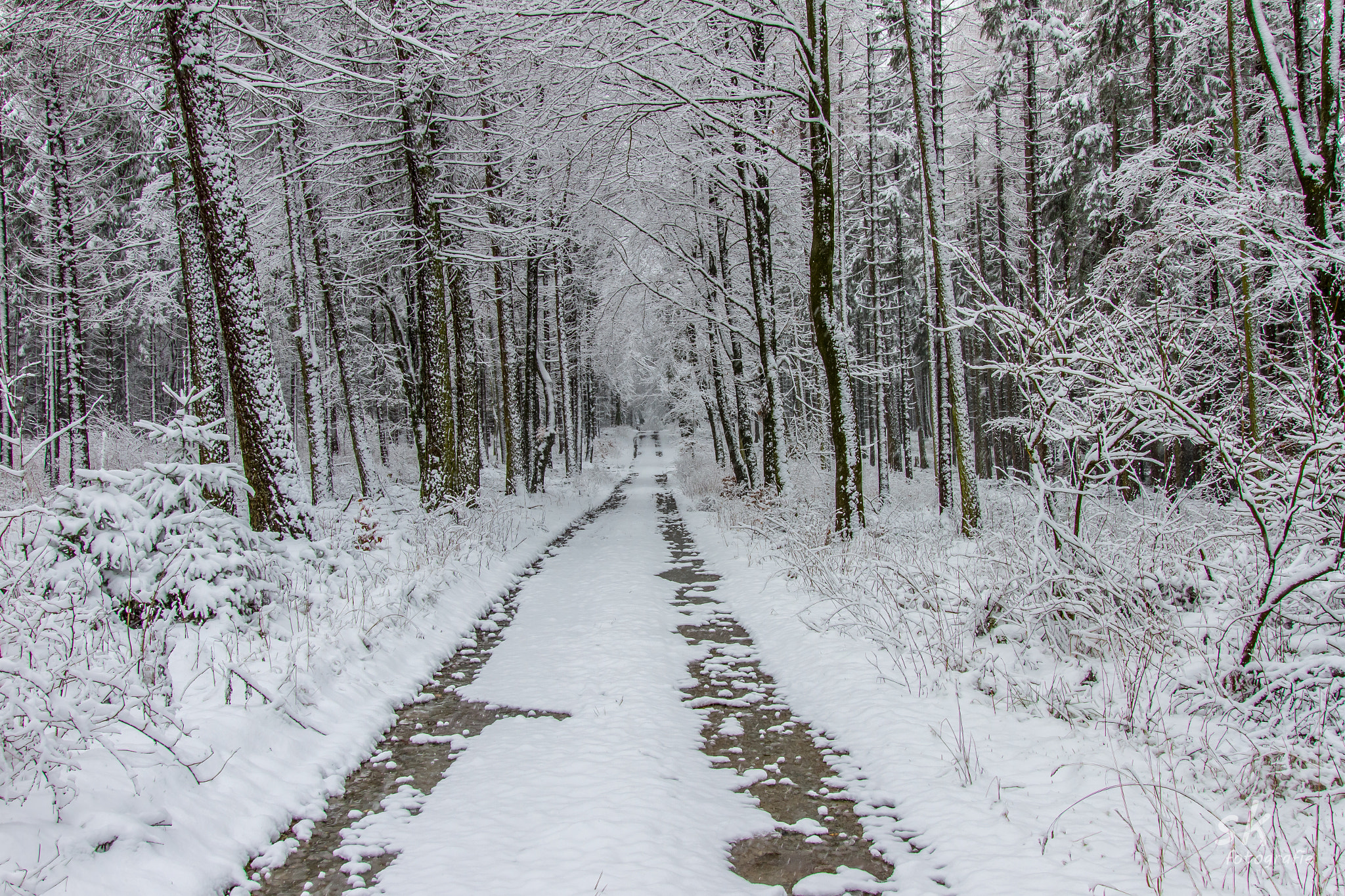 Sigma 24-105mm f/4 DG OS HSM | A sample photo. Winter photography