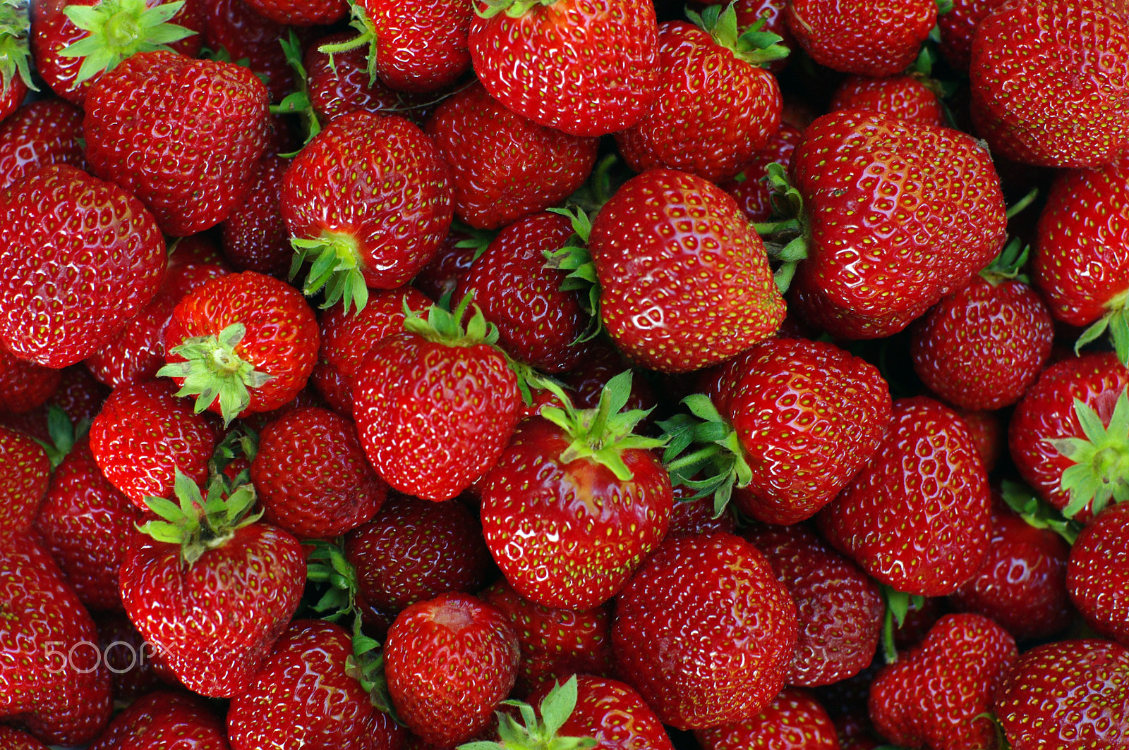 Pentax K200D + Pentax smc FA 50mm F1.4 sample photo. Strawberries closeup photography