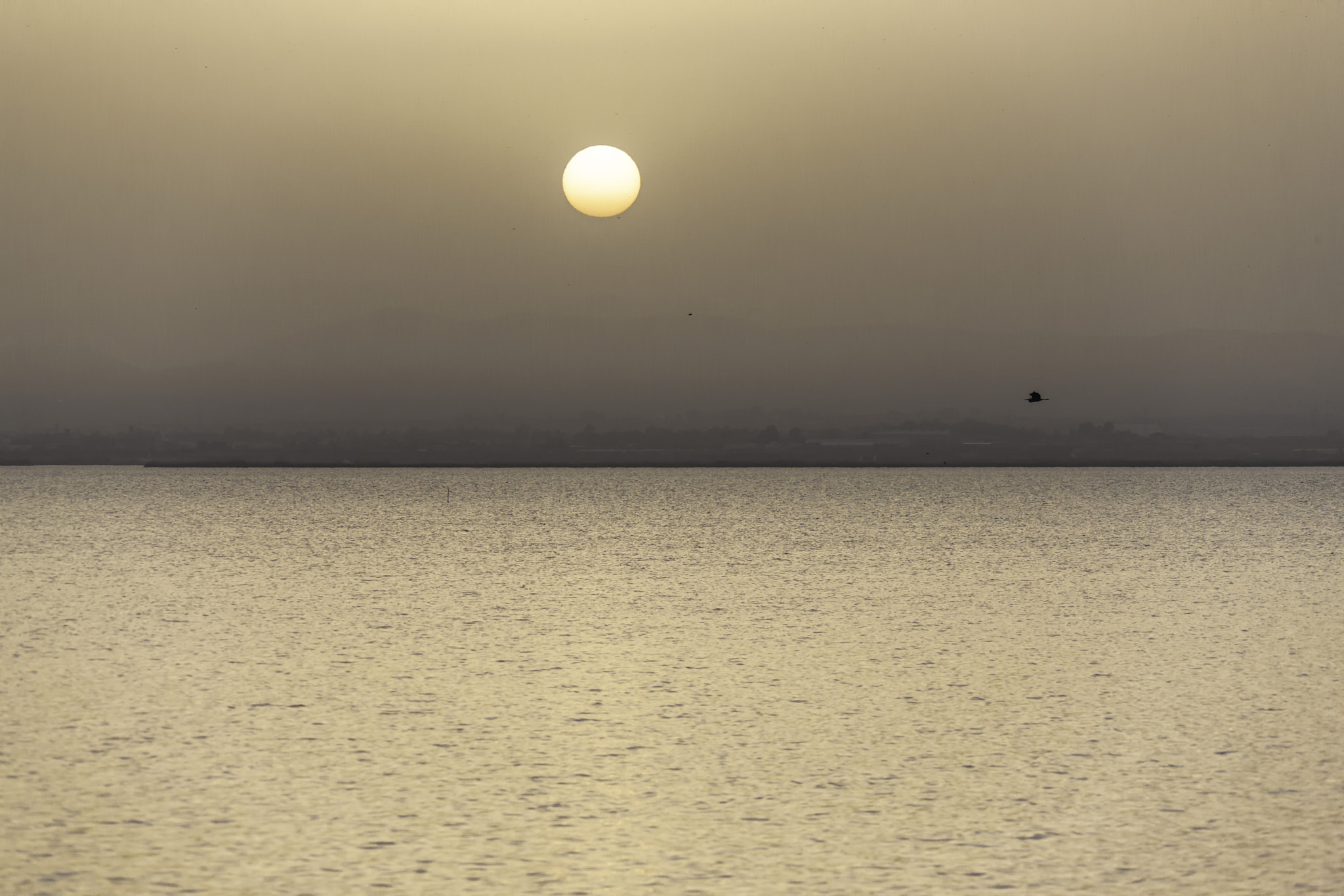 Sigma 150-500mm F5-6.3 DG OS HSM sample photo. Sunset photography