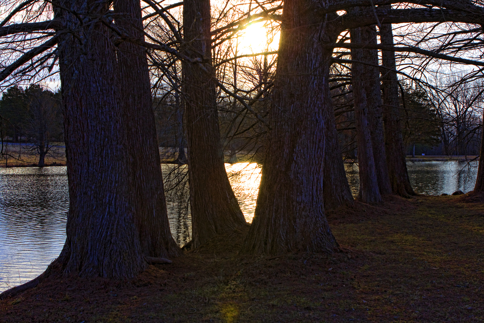 Canon EF 24-70mm F2.8L USM sample photo. Lazy morning photography