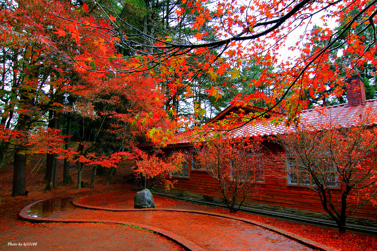 Tokina AT-X Pro 12-24mm F4 (IF) DX sample photo. 福壽山松盧 photography