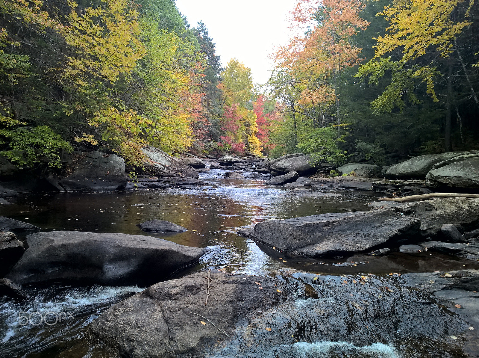 Nokia Lumia 929 sample photo. River.jpg photography