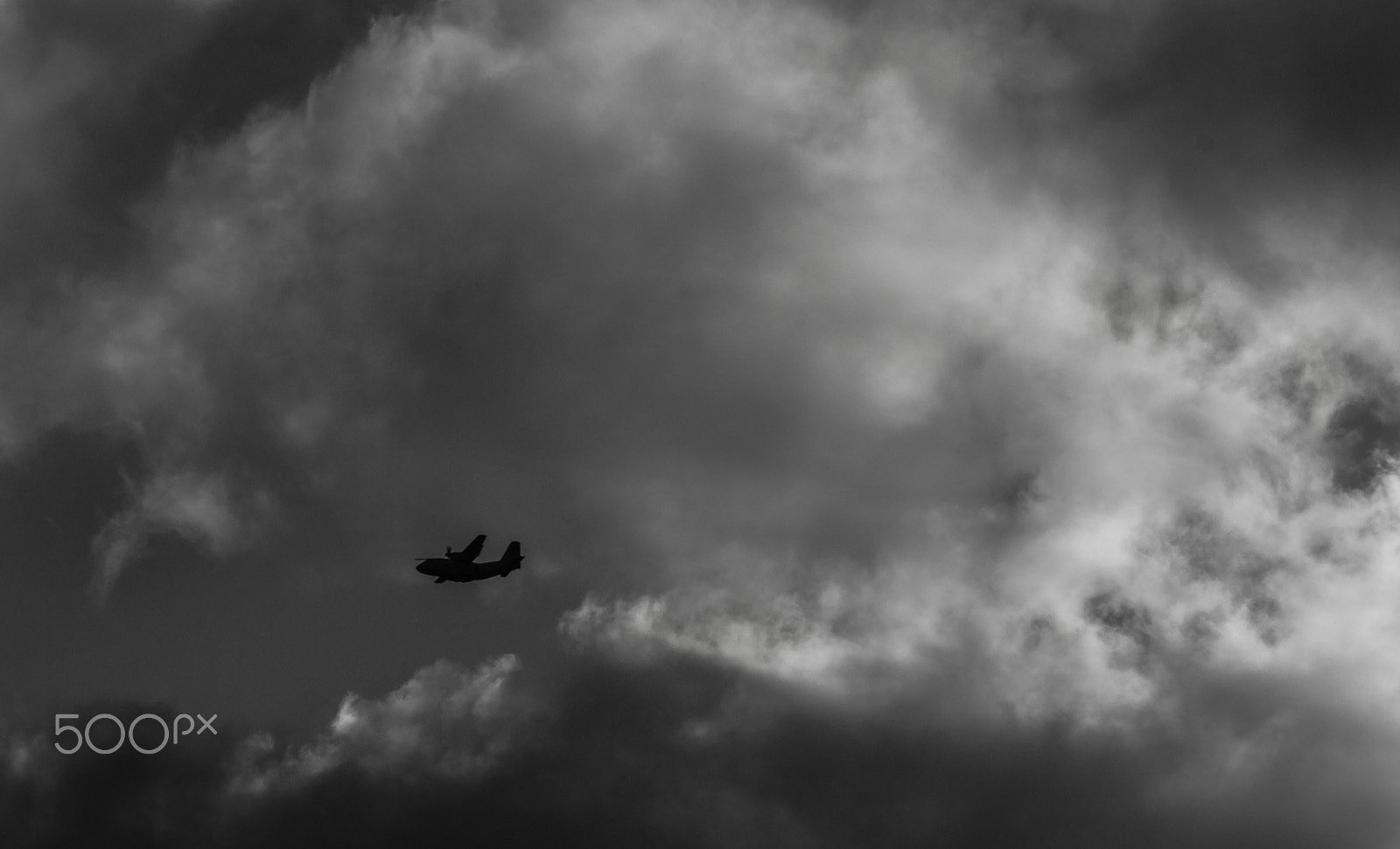 Canon EOS 700D (EOS Rebel T5i / EOS Kiss X7i) + Canon EF 55-200mm F4.5-5.6 II USM sample photo. Flying away in shades of gray photography