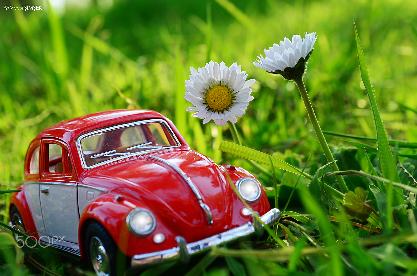 AF Zoom-Nikkor 24-50mm f/3.3-4.5D sample photo. Araba sevdası / love of cars photography
