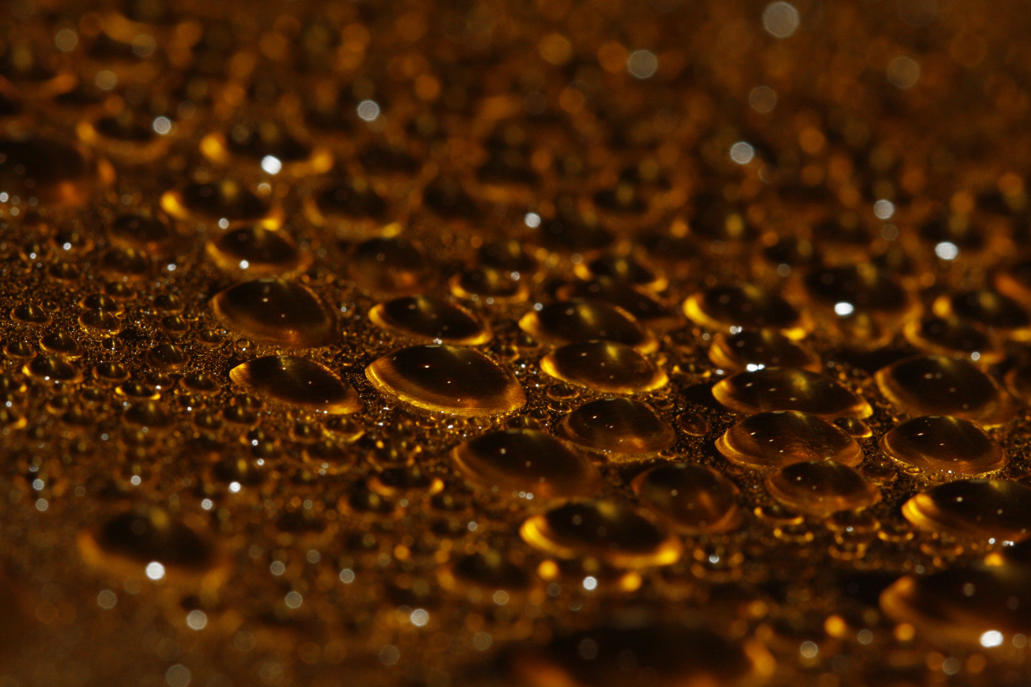 Canon EF 100mm F2.8 Macro USM sample photo. Drops#1 photography