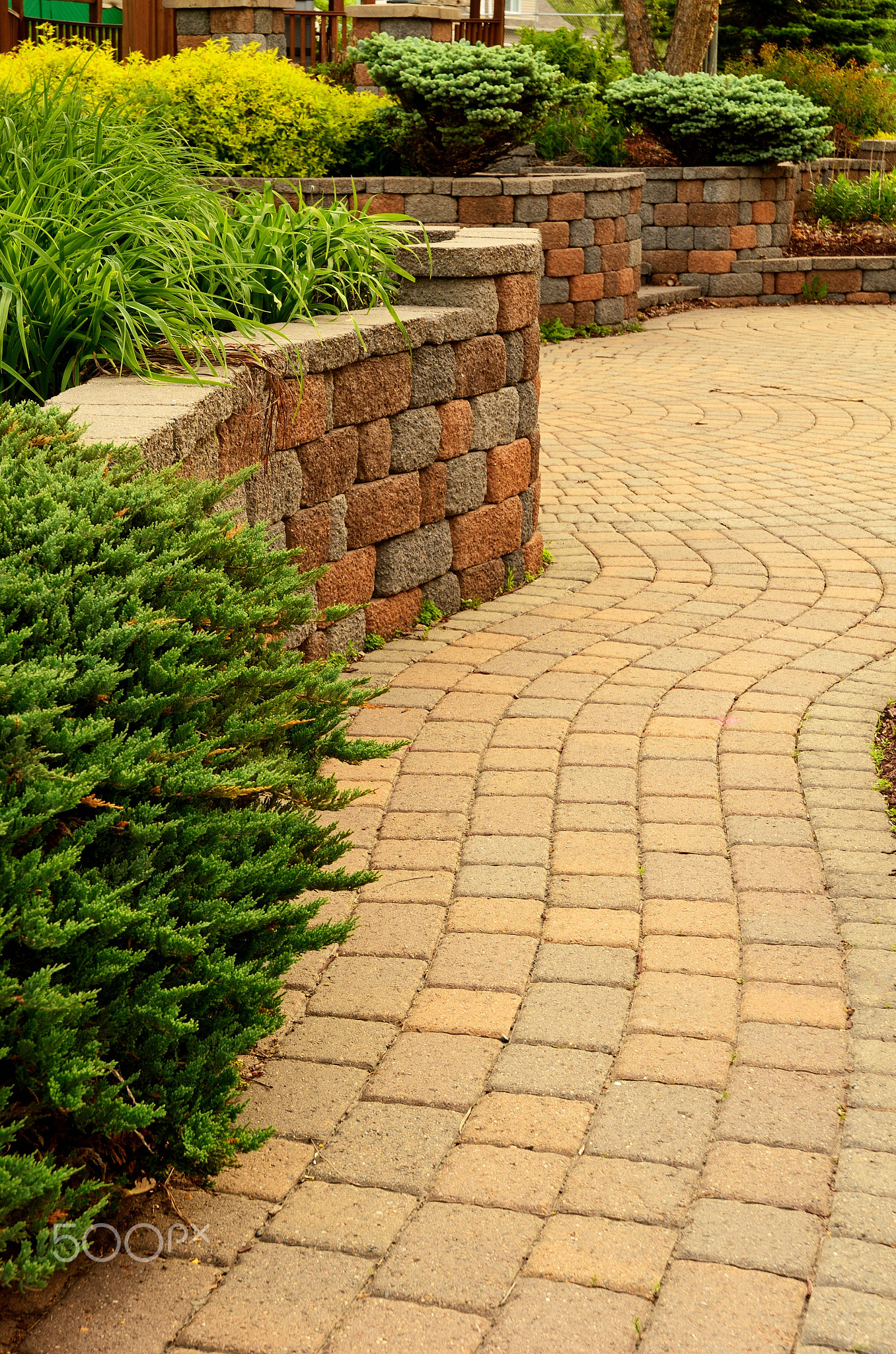 Retaining Wall and Patio