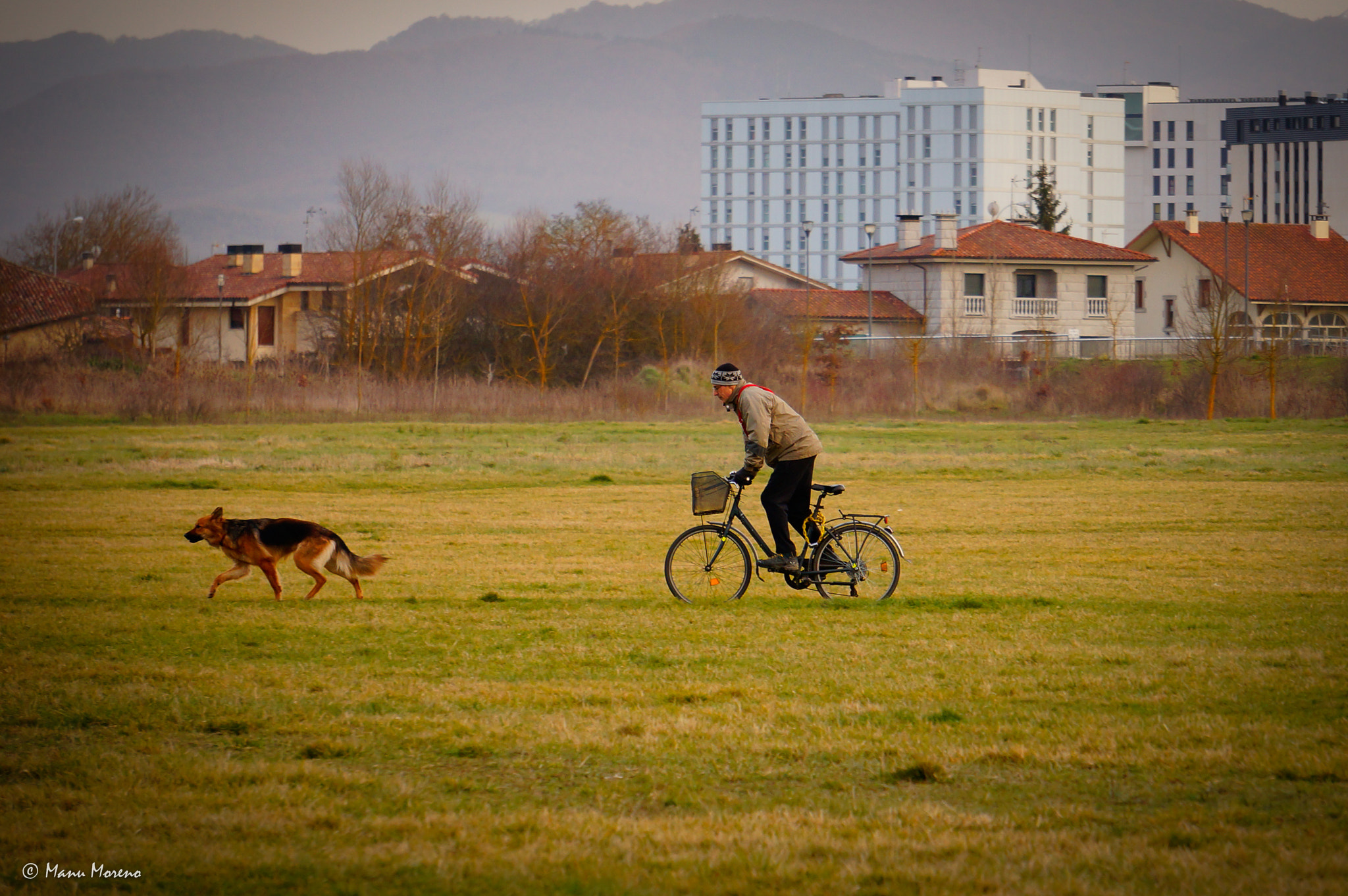 Sony Alpha NEX-F3 + Sony E 55-210mm F4.5-6.3 OSS sample photo. Determinacion  (2016p365/56) photography
