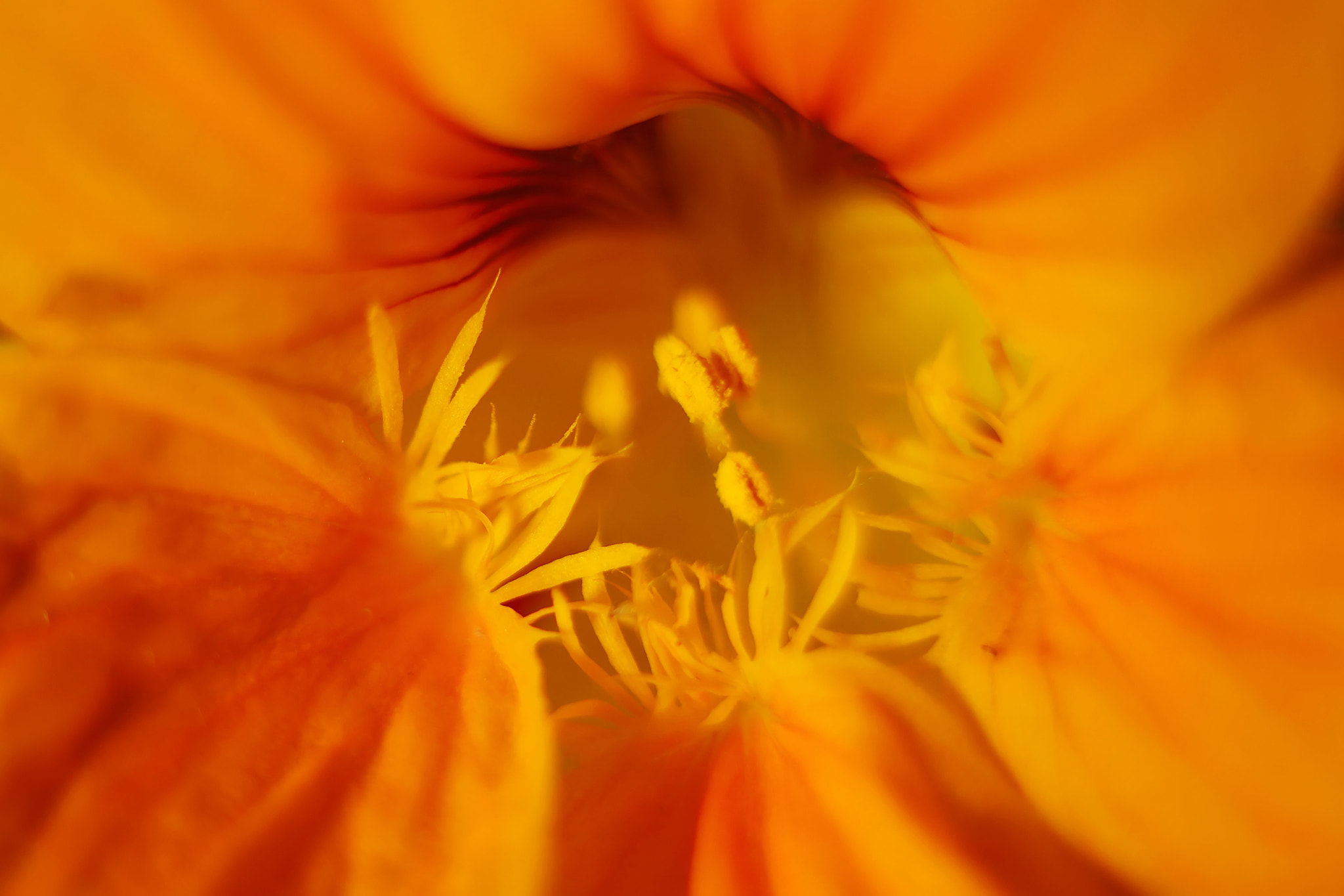 Canon EF 50mm F2.5 Macro sample photo. Core photography