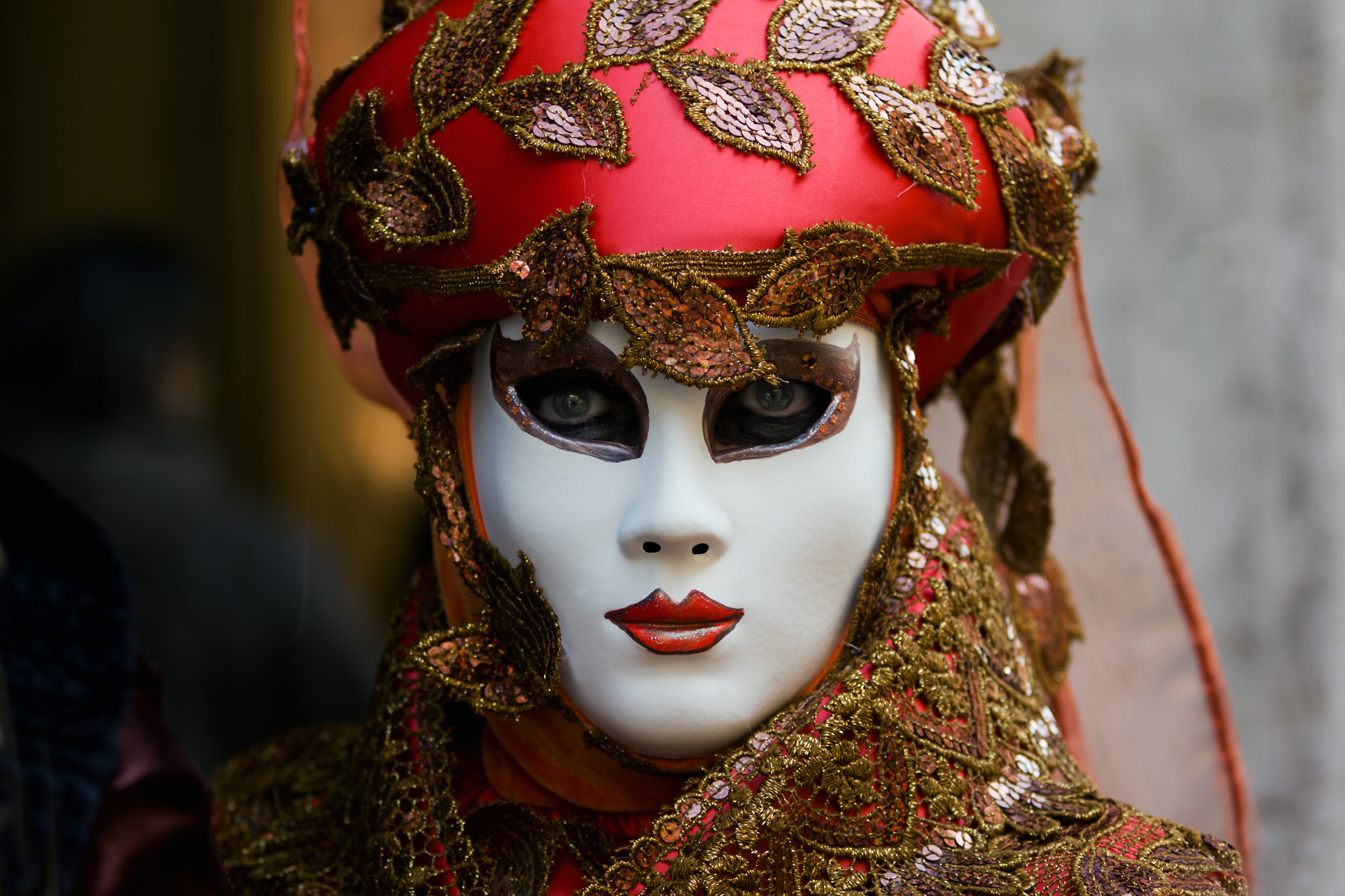 Canon EF 70-200mm F2.8L USM sample photo. Venice carnival photography