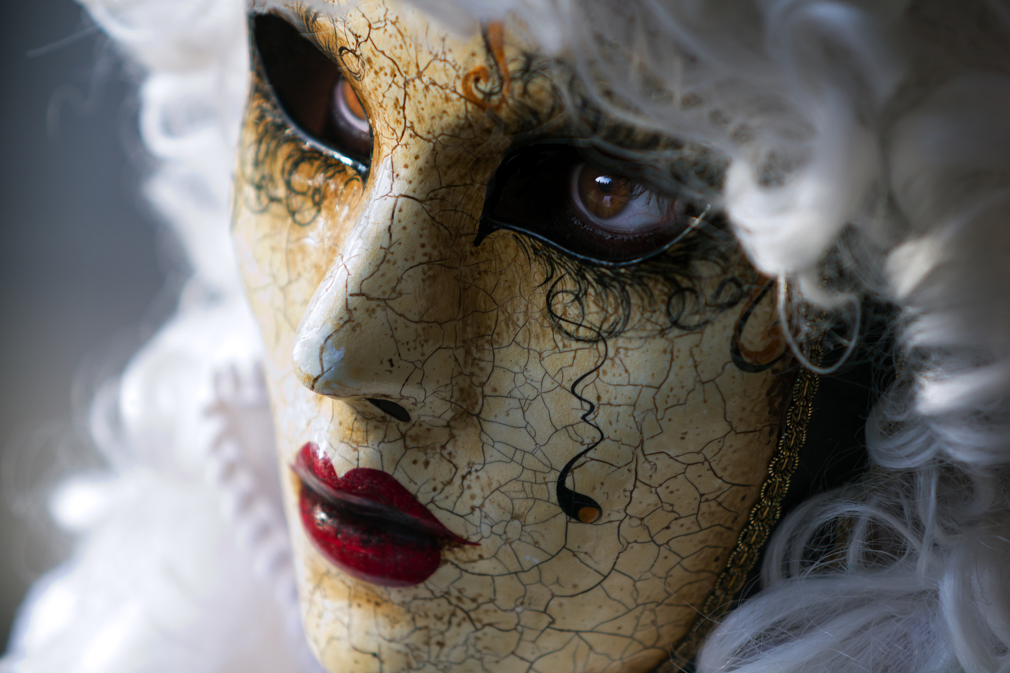 Canon EF 70-200mm F2.8L USM sample photo. Venice carnival photography