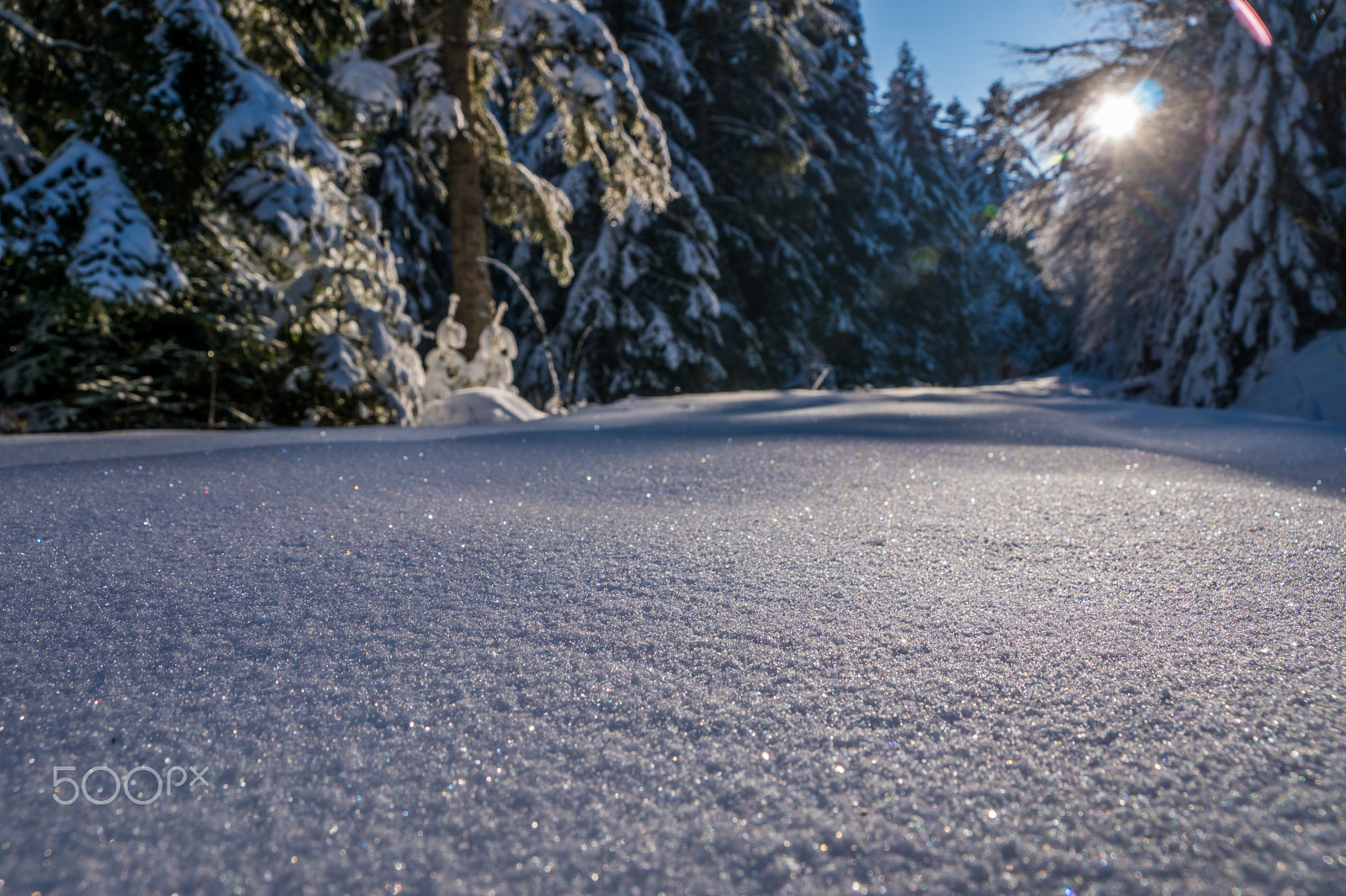 Sony DT 18-250mm F3.5-6.3 sample photo. Snowy road photography