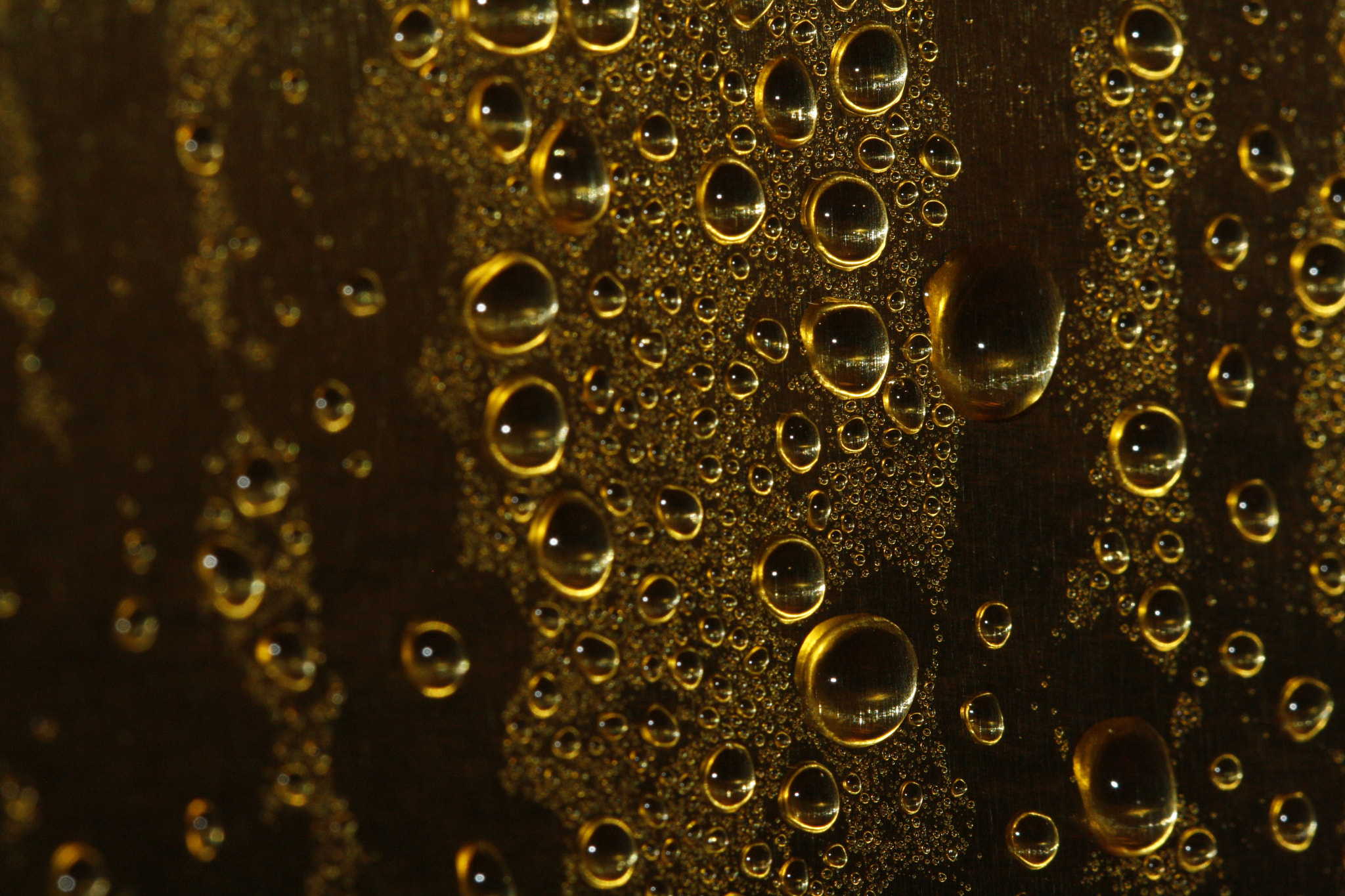 Canon EF 100mm F2.8 Macro USM sample photo. Drops#3 photography