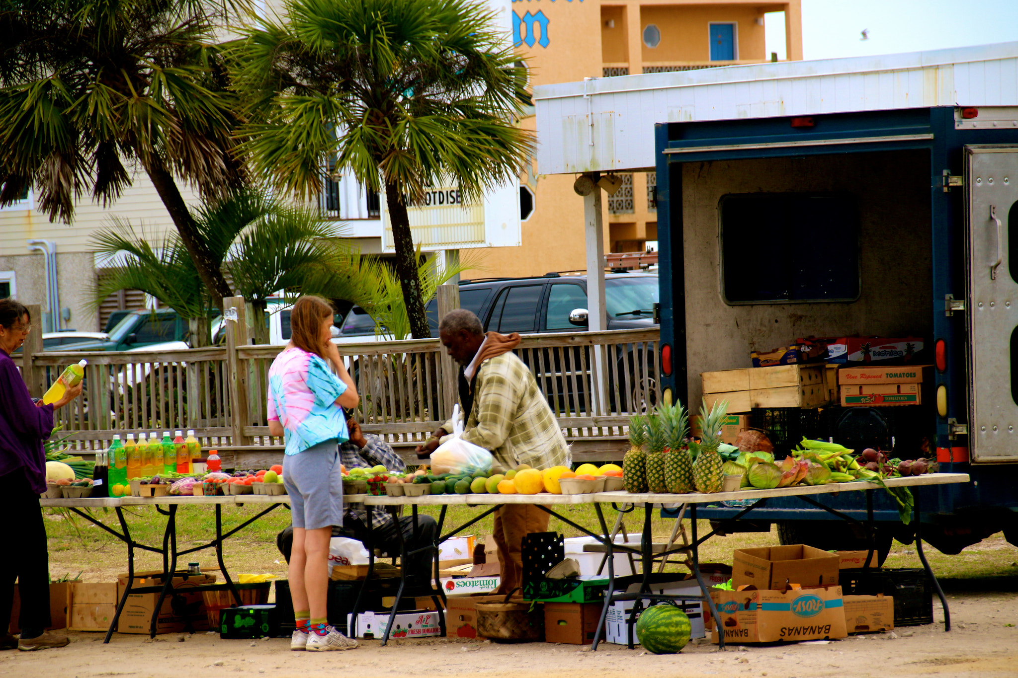 Sigma 18-250mm F3.5-6.3 DC OS HSM sample photo. St. george marketplace photography