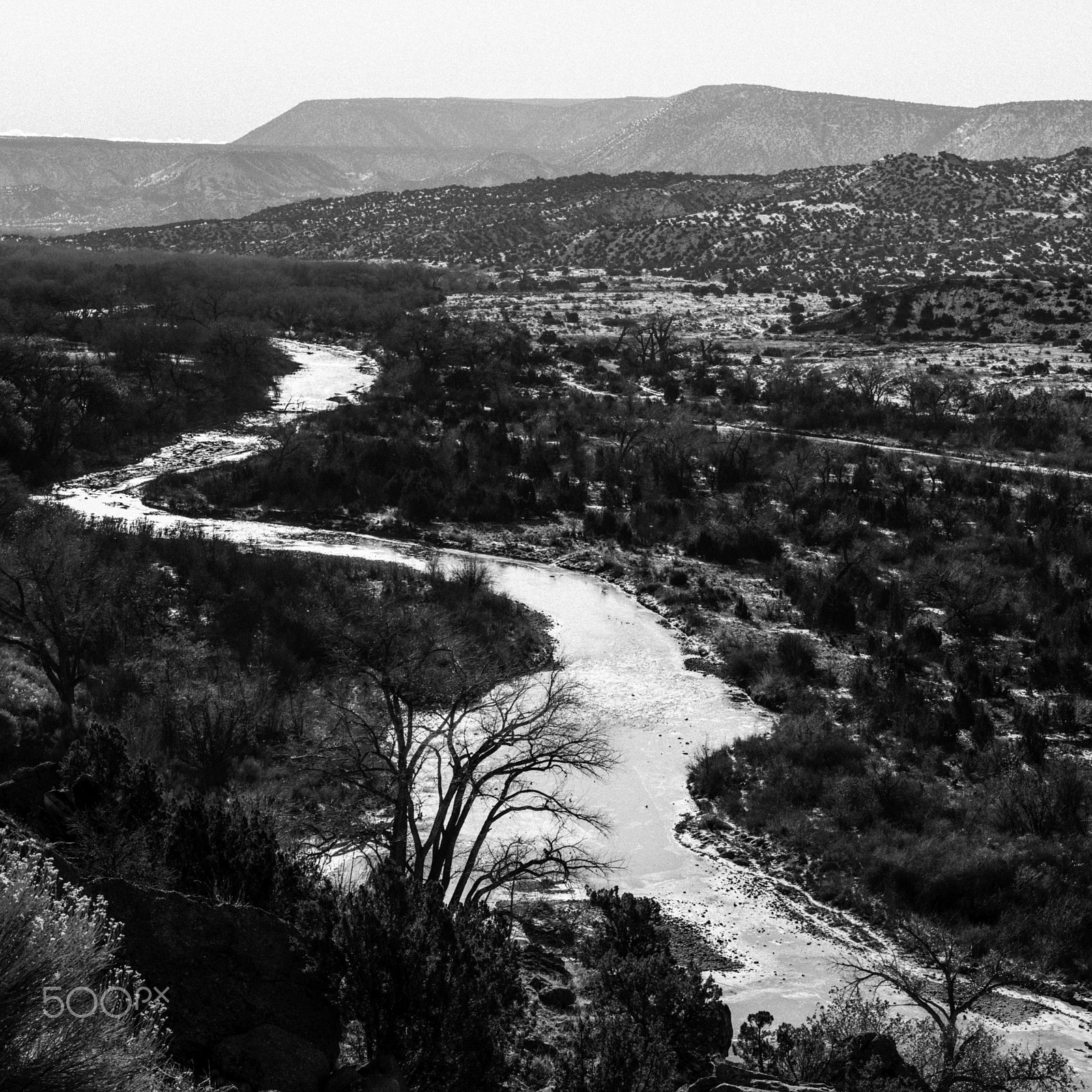 Hasselblad H5D + HC 80 sample photo. Rio chama, study 2 photography