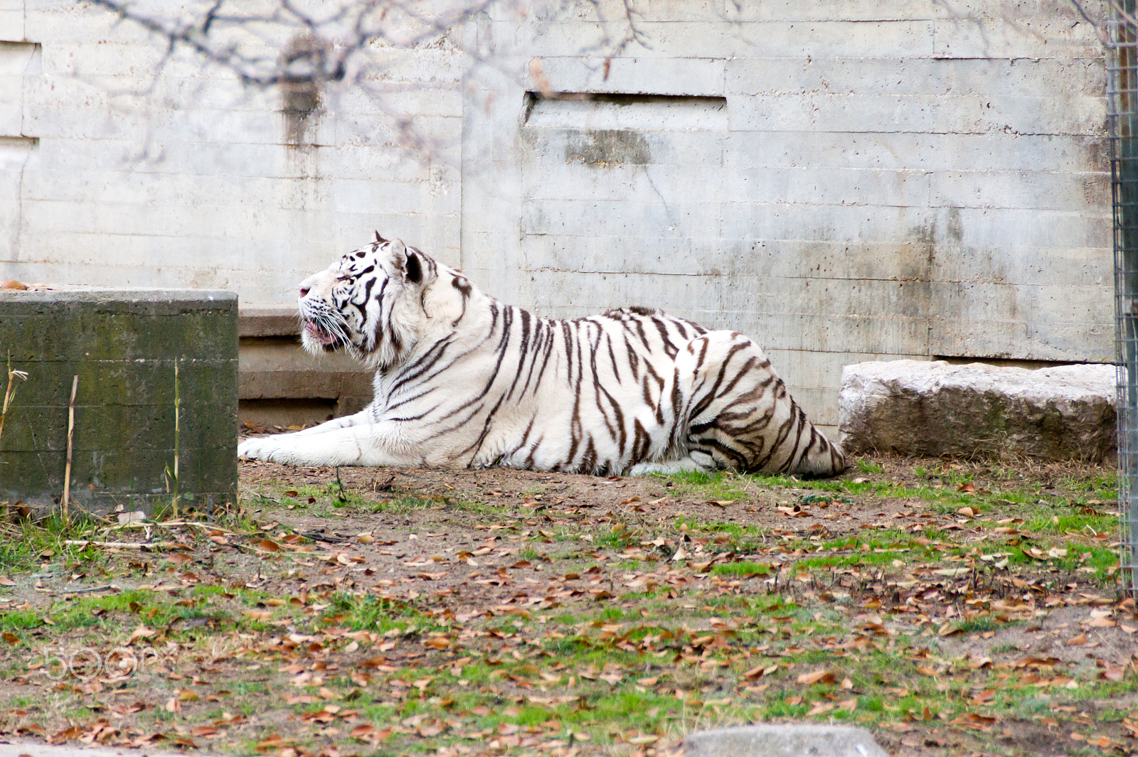 Sony Alpha DSLR-A550 sample photo. Zoo aquarium de madrid photography