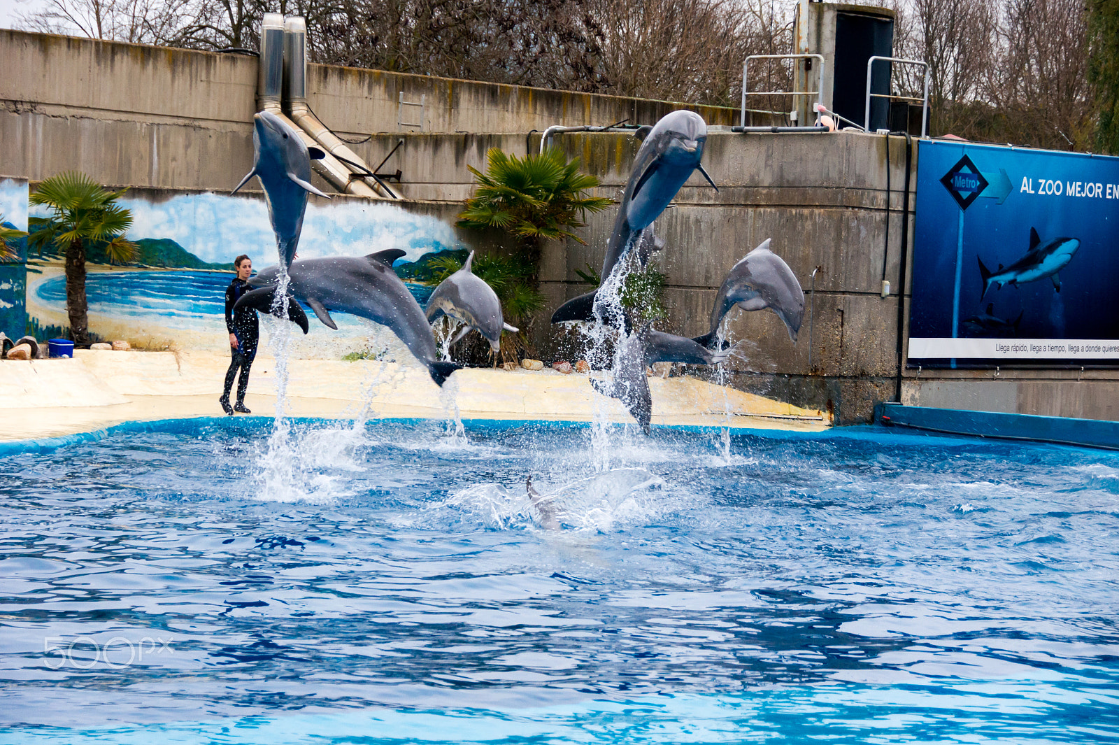 Sony Alpha DSLR-A550 sample photo. Zoo aquarium de madrid photography