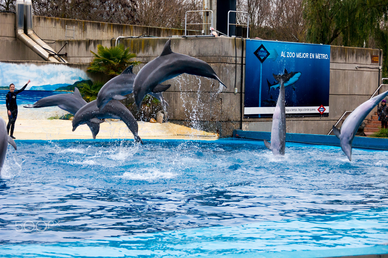 Sony Alpha DSLR-A550 sample photo. Zoo aquarium de madrid photography