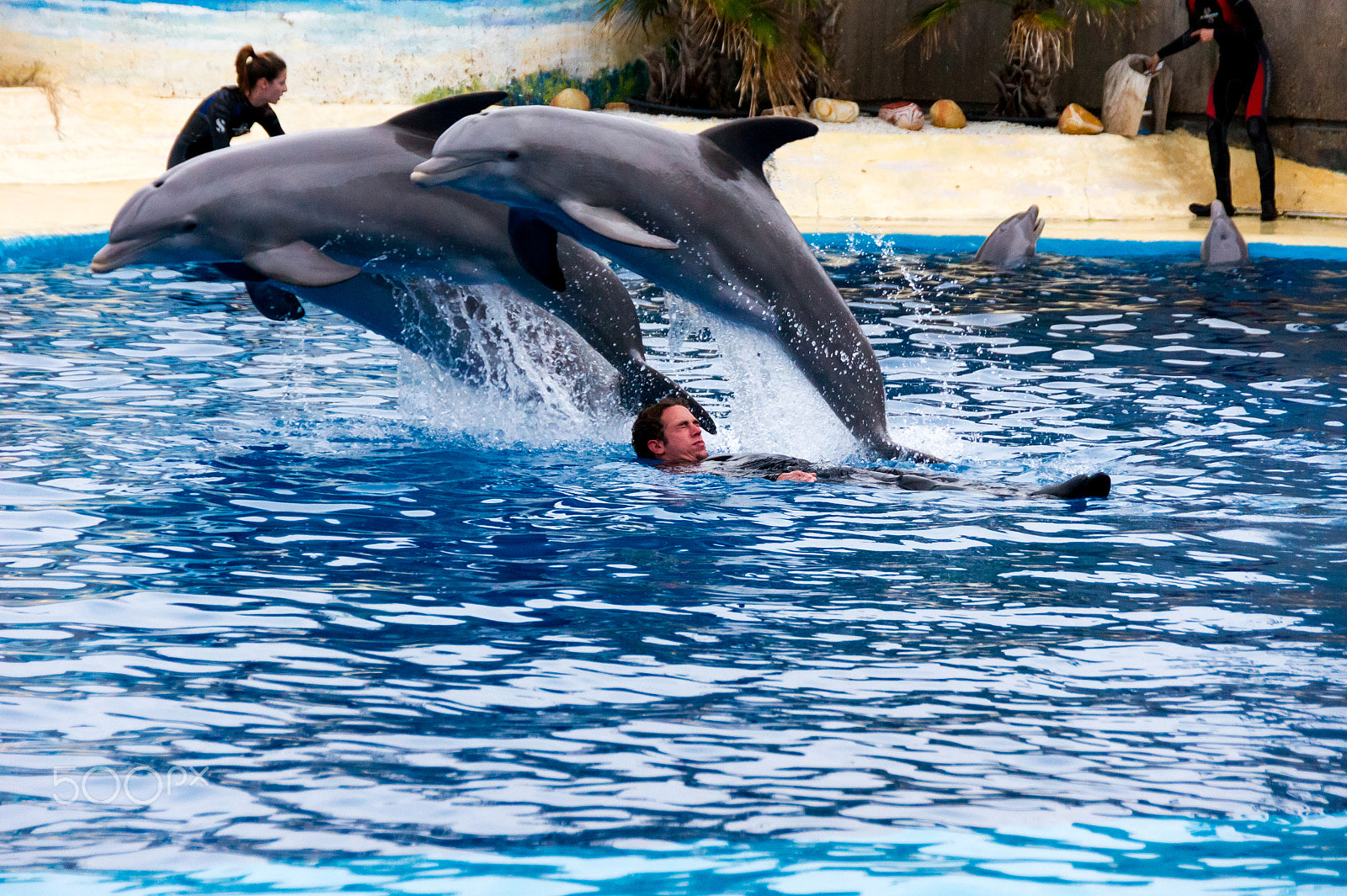 Sony Alpha DSLR-A550 sample photo. Zoo aquarium de madrid photography