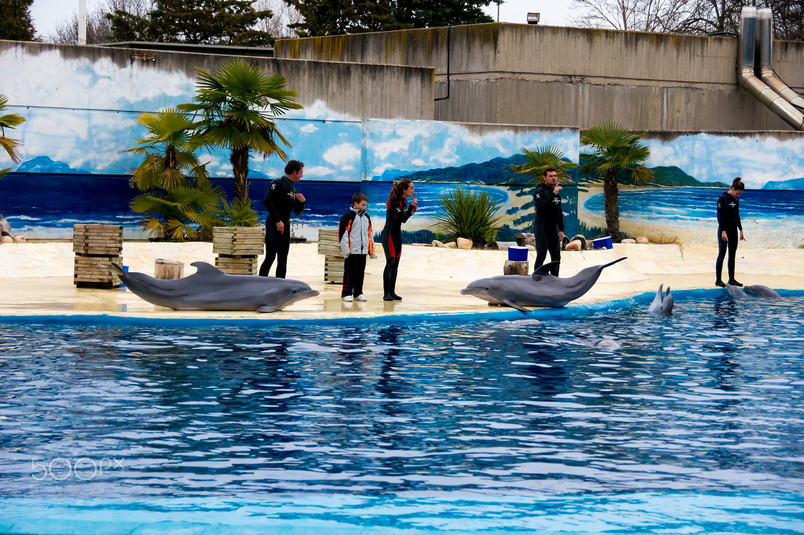 Sony Alpha DSLR-A550 sample photo. Zoo aquarium de madrid photography