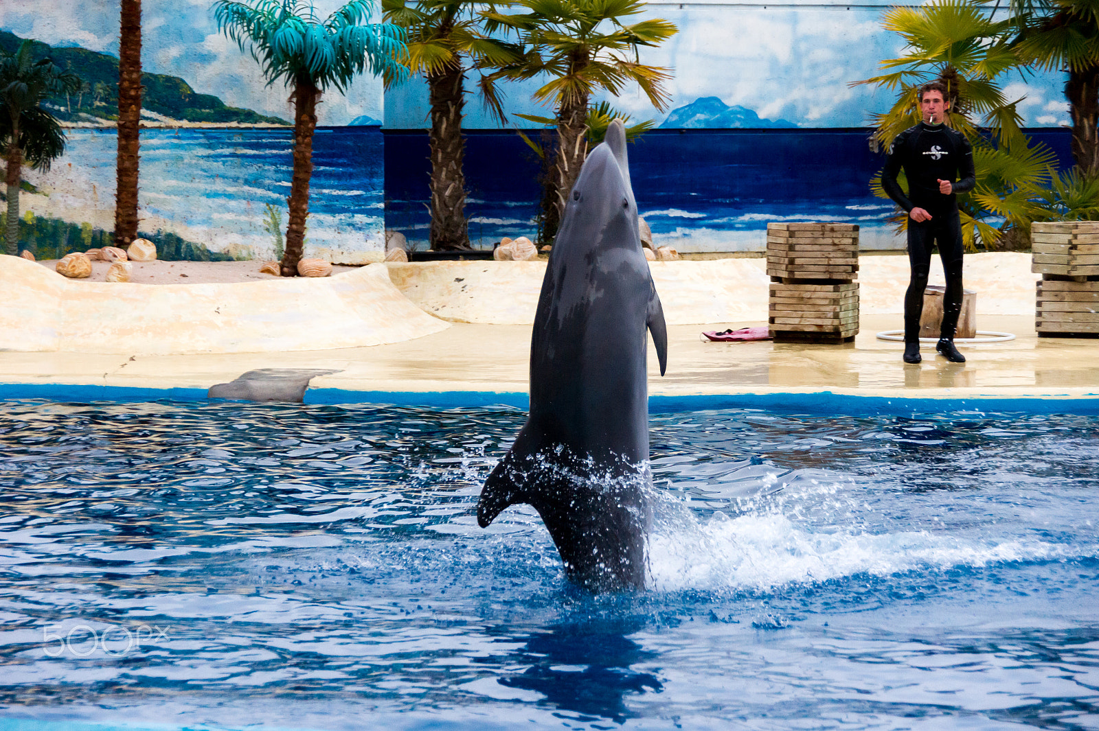 Sony Alpha DSLR-A550 sample photo. Zoo aquarium de madrid photography