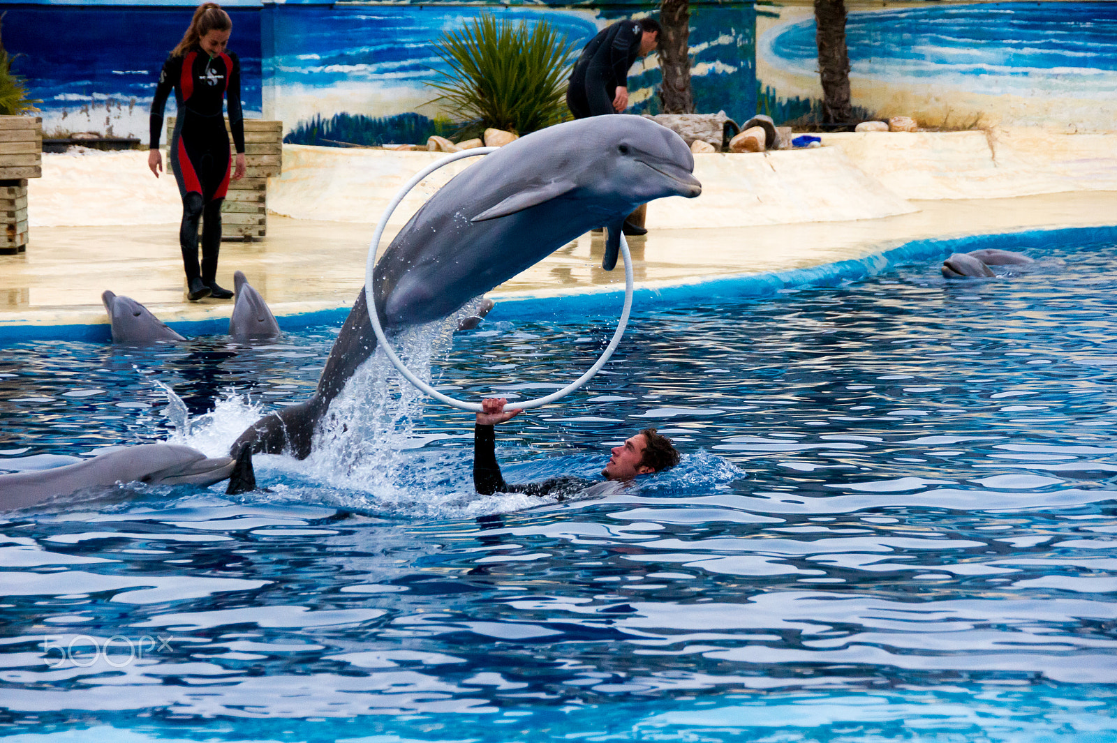 Sony Alpha DSLR-A550 sample photo. Zoo aquarium de madrid photography