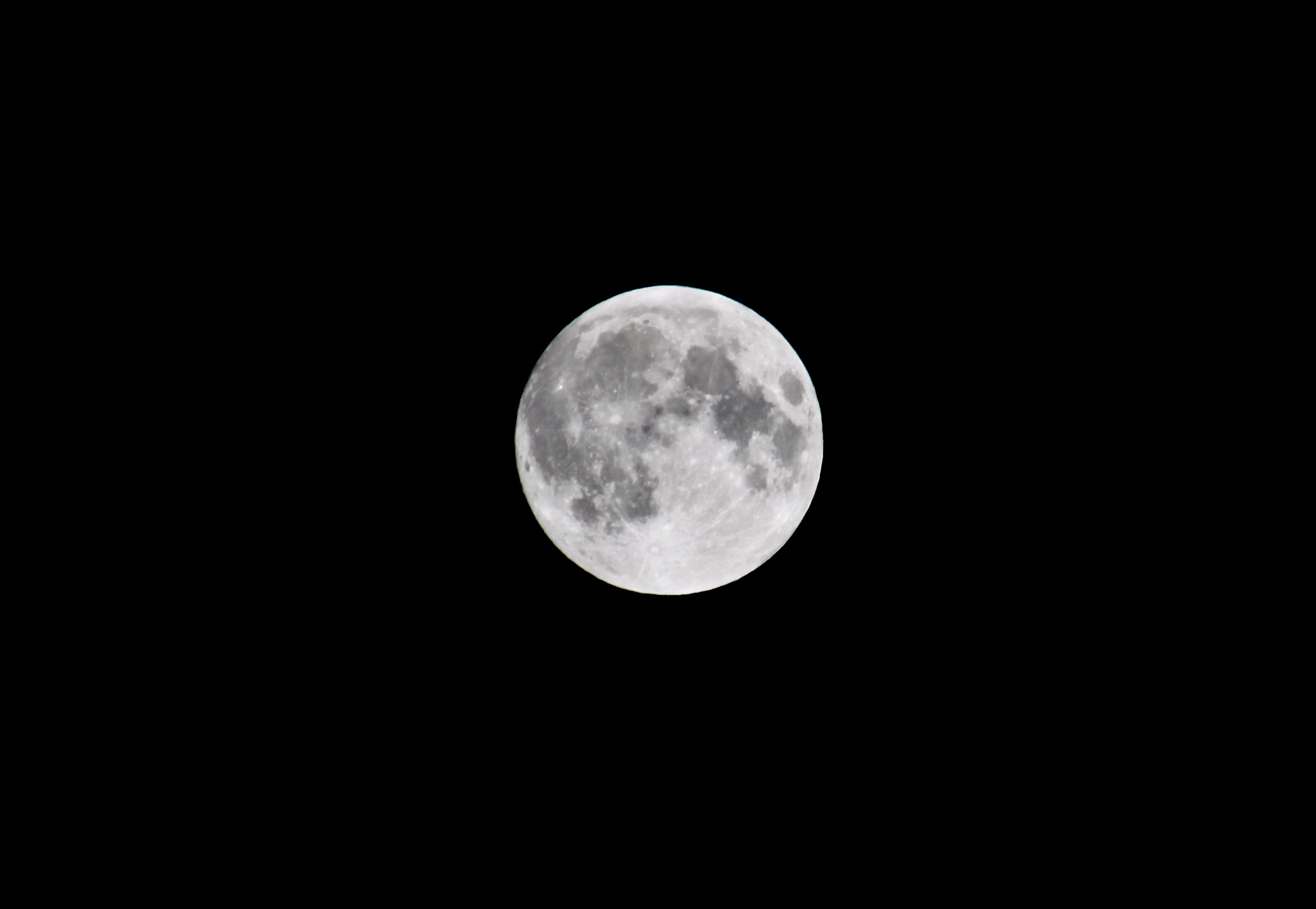 Canon EF 100-300mm F4.5-5.6 USM sample photo. Perfection photography