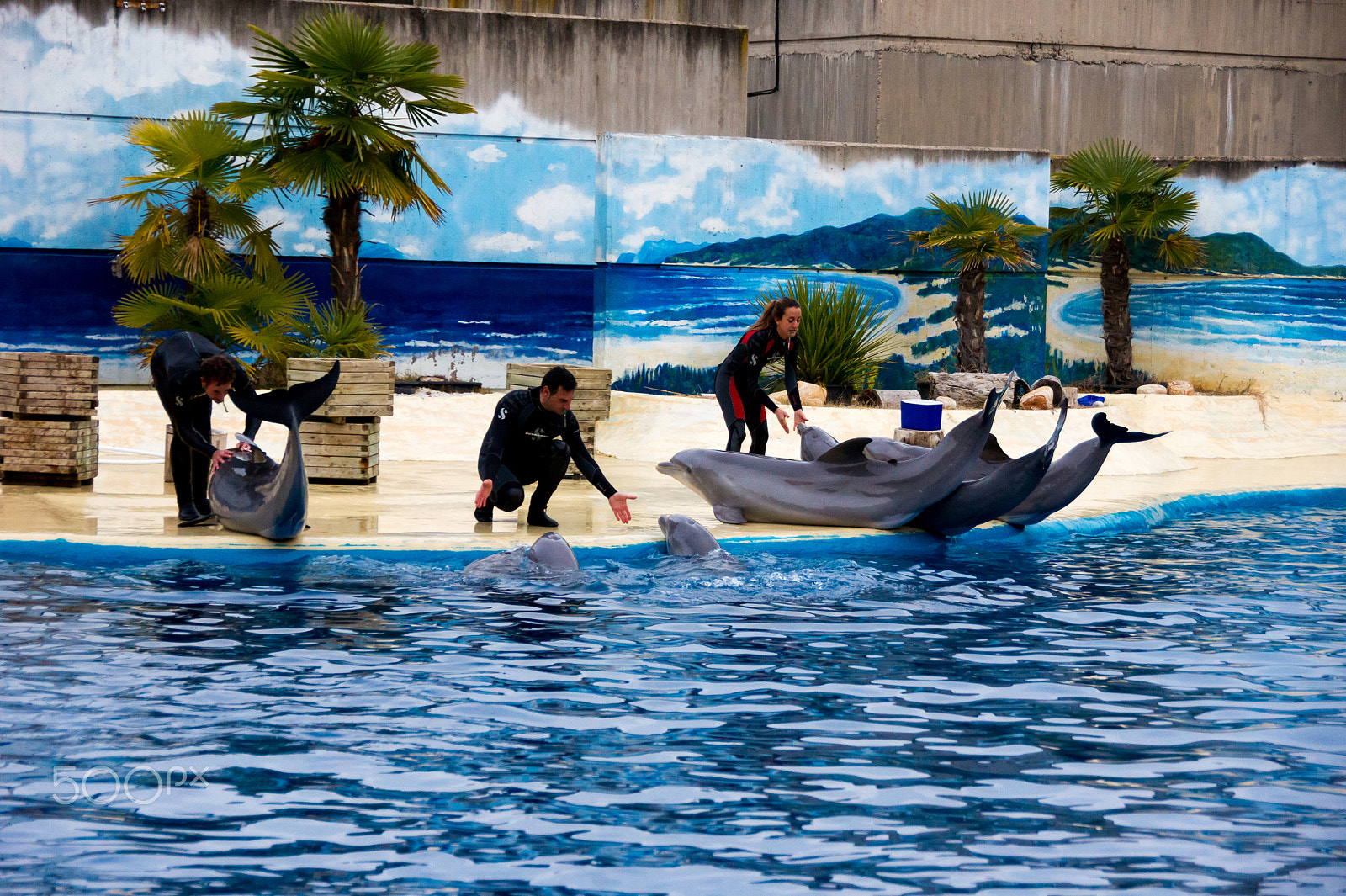 Sony Alpha DSLR-A550 sample photo. Zoo aquarium de madrid photography
