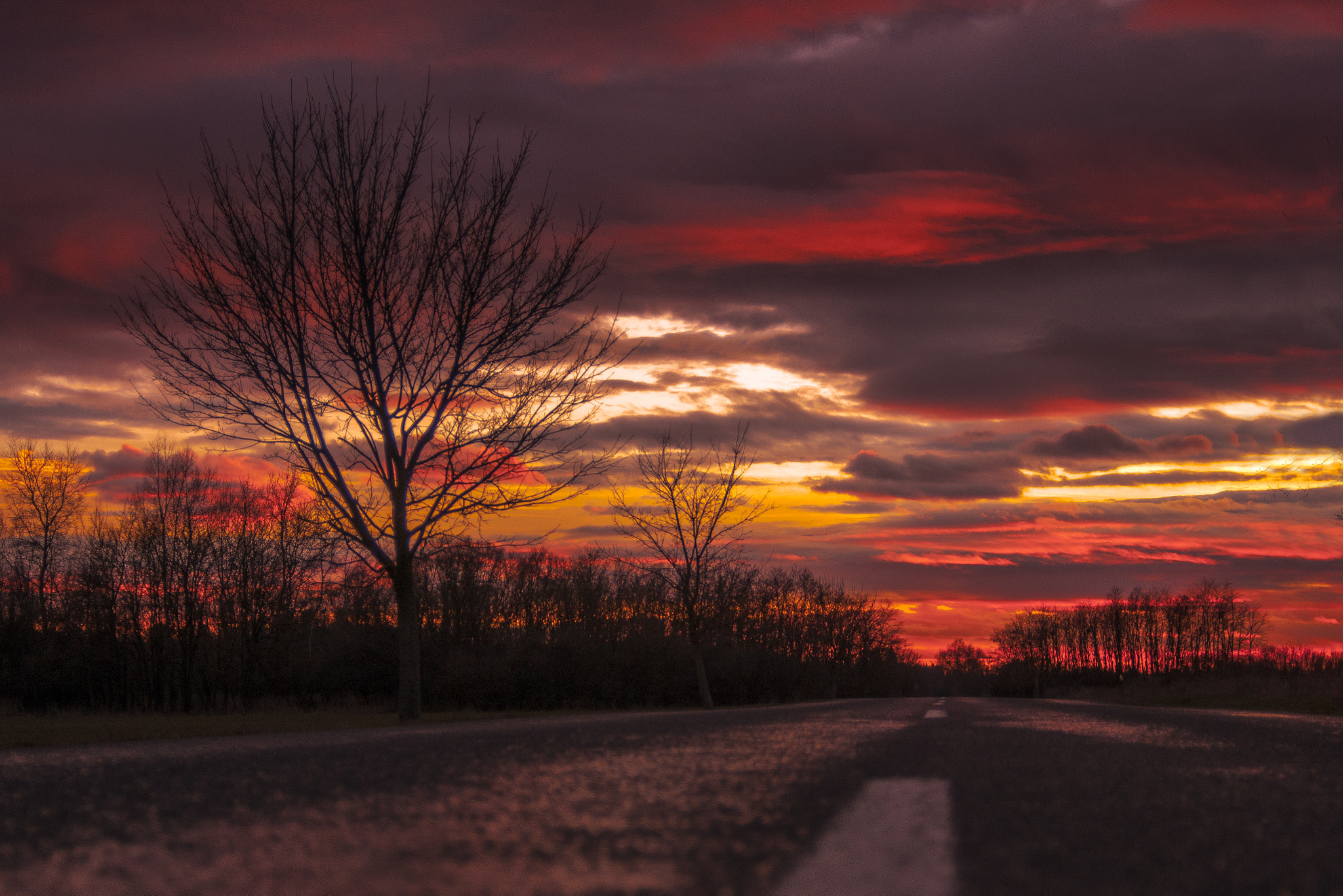 AF Zoom-Nikkor 28-80mm f/3.3-5.6G sample photo. Towards balaton photography