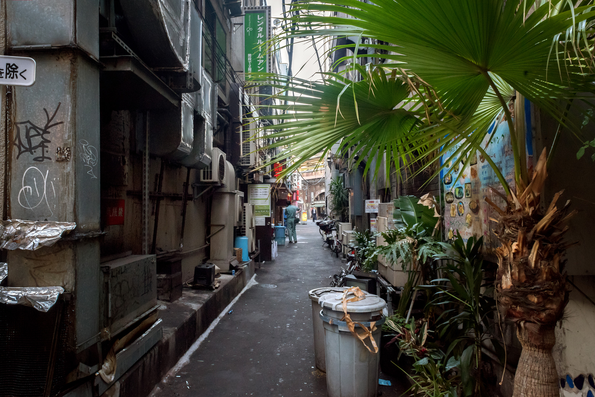 Nikon D810 + Nikon AF Nikkor 20mm F2.8D sample photo. Hidden tokyo photography
