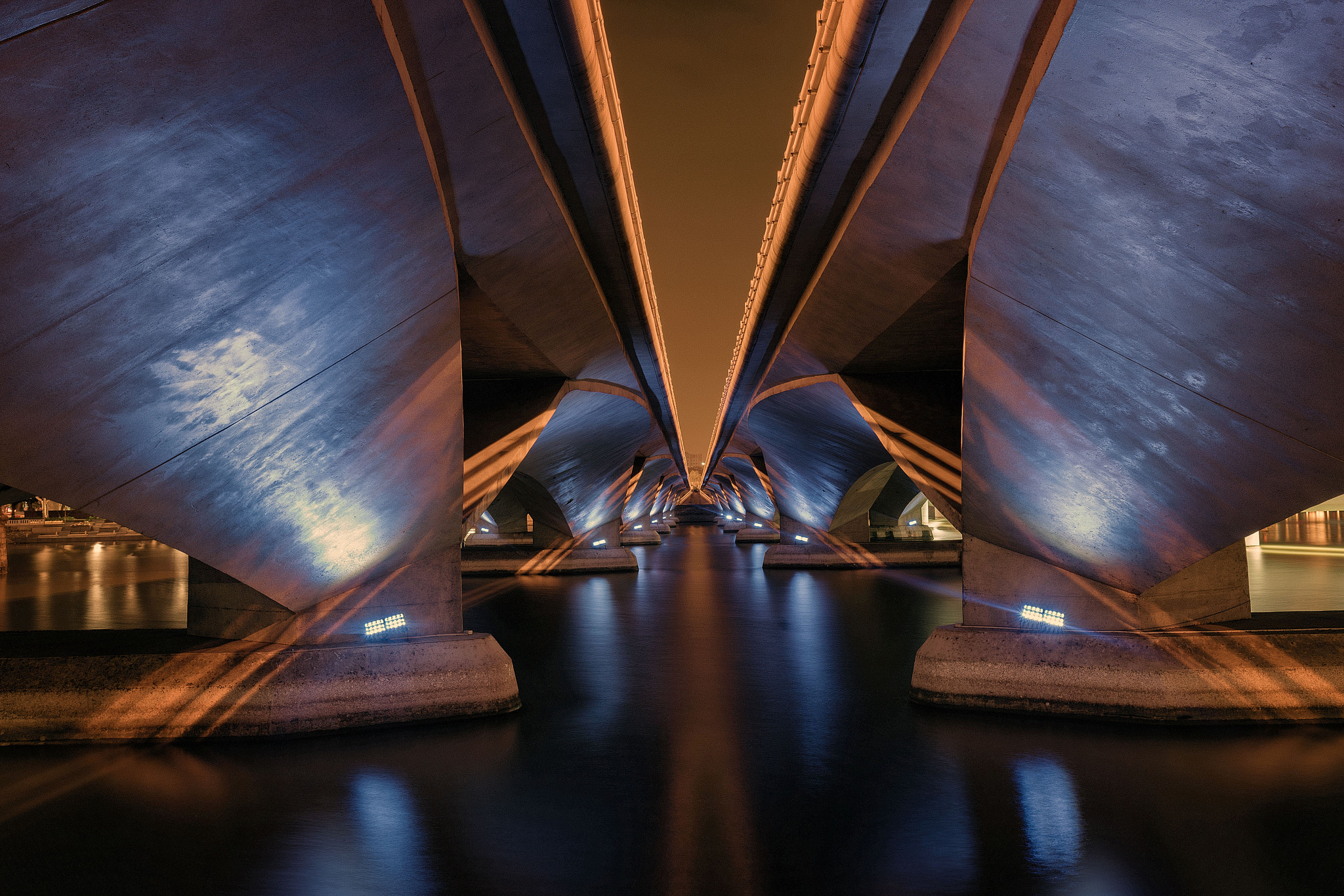 Sony a7 II + Canon EF 16-35mm F2.8L USM sample photo. From beneath photography