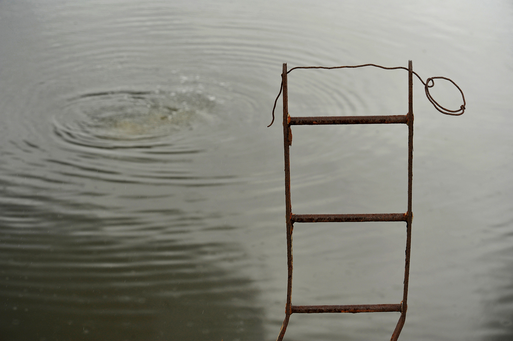 Nikon D3 sample photo. Ripple photography