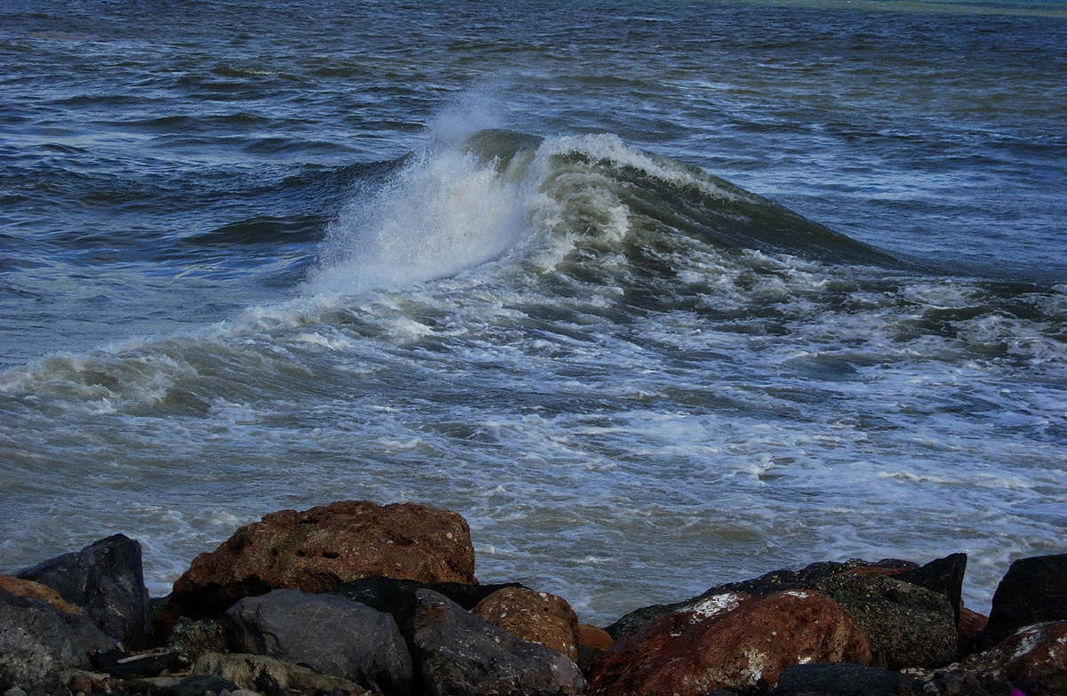 Nikon E5200 sample photo. The wave photography