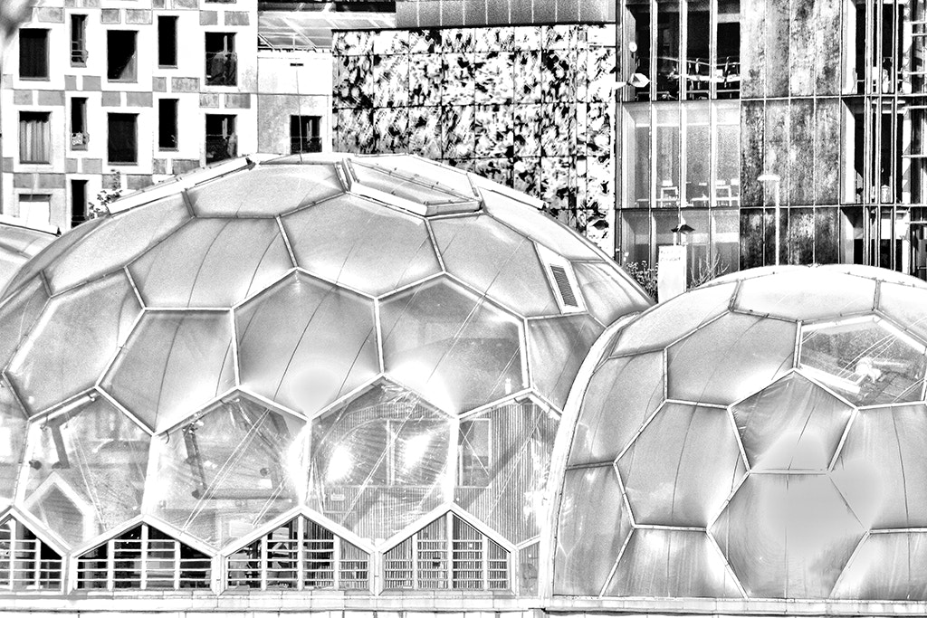 Sigma 50-500mm f/4-6.3 APO HSM EX sample photo. Art in rotterdam photography