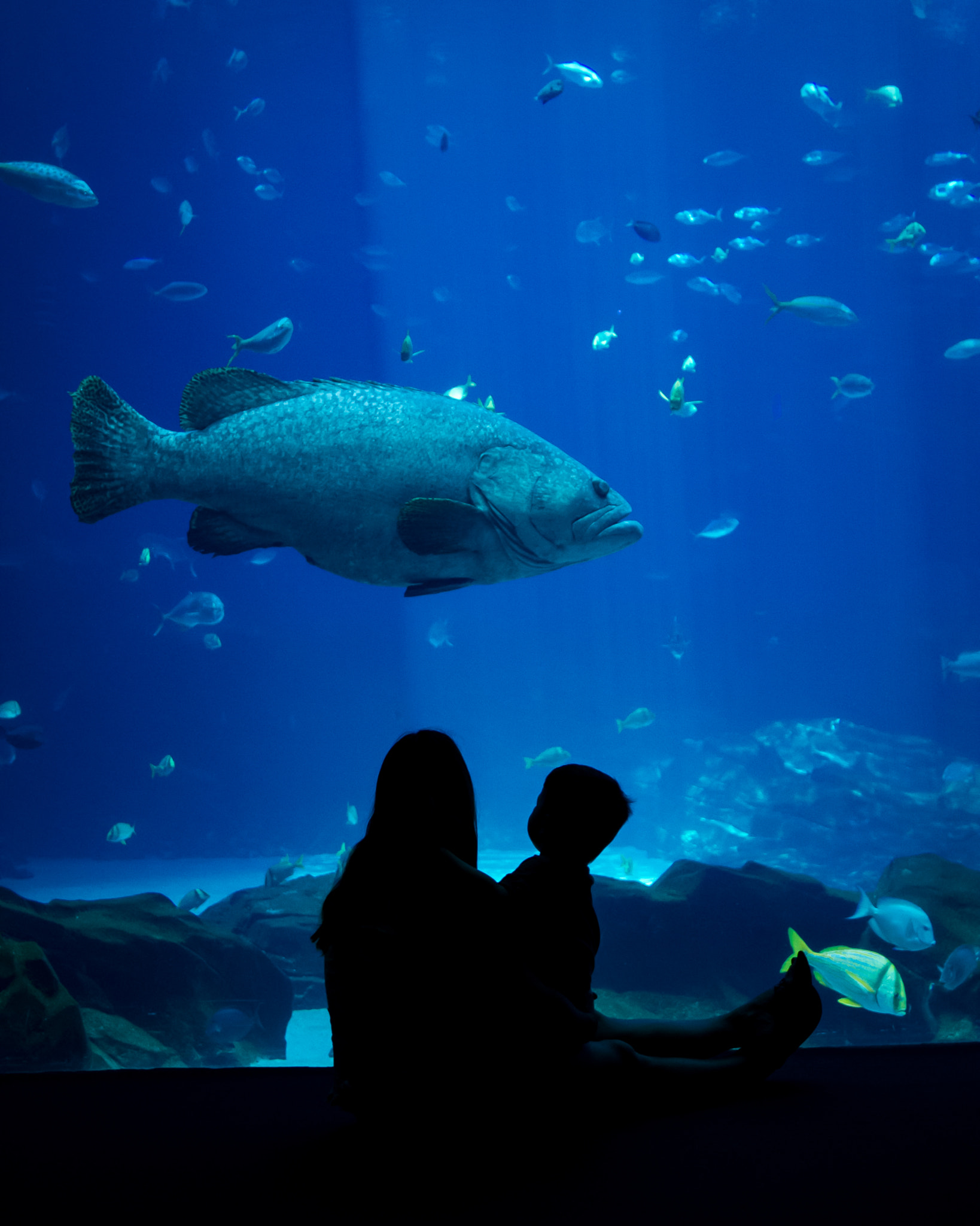 Canon EOS 7D + Canon TS-E 24mm f/3.5L sample photo. Sharing a love of the ocean photography